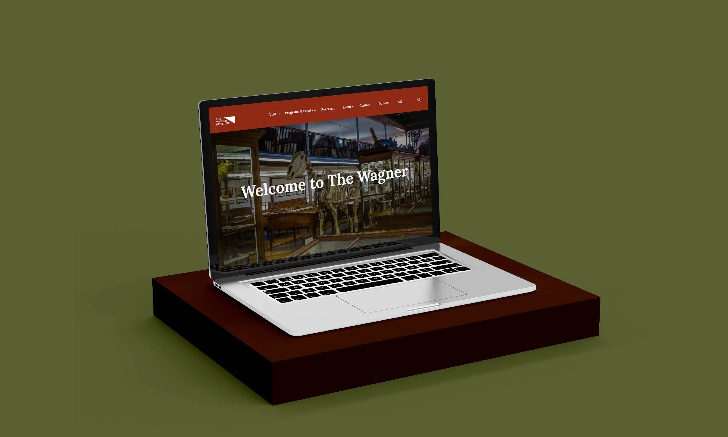 Squarespace Gallery Pics copy-01.jpg