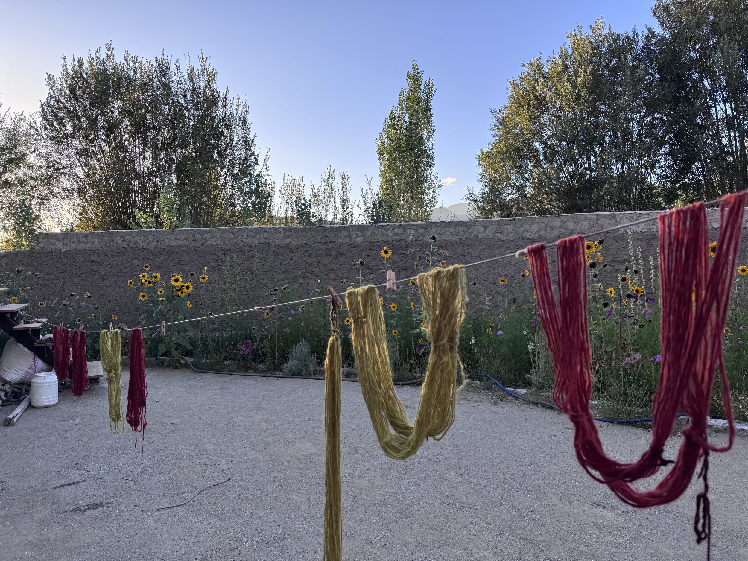 Ladakh Textile Tour with Thread Caravan and We are Kal