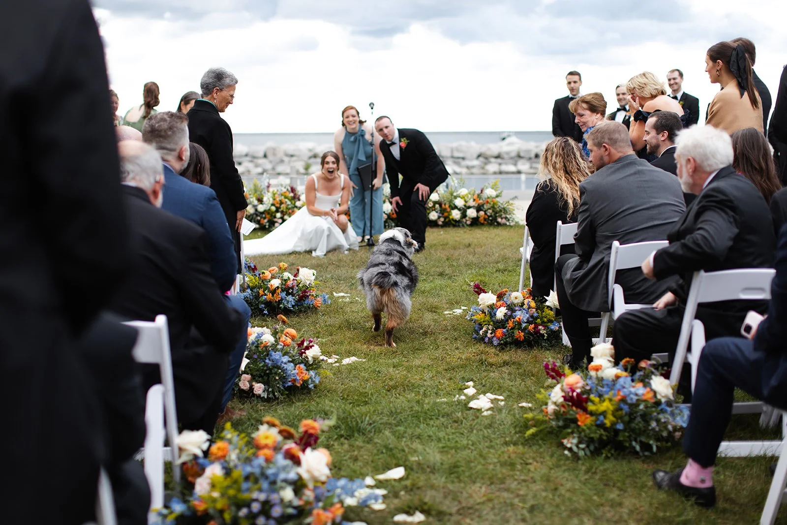 A wedding ceremony taking place outdoors on a grassy area near a body of water, with guests seated on white chairs decorated with flowers, and a dog walking down the aisle towards the couple, who are sitting on the ground with a floral backdrop.