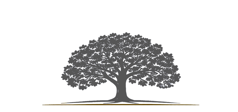 White Oak Private Capital