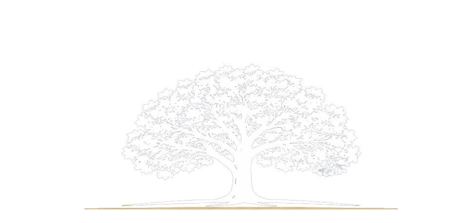 White Oak Private Capital