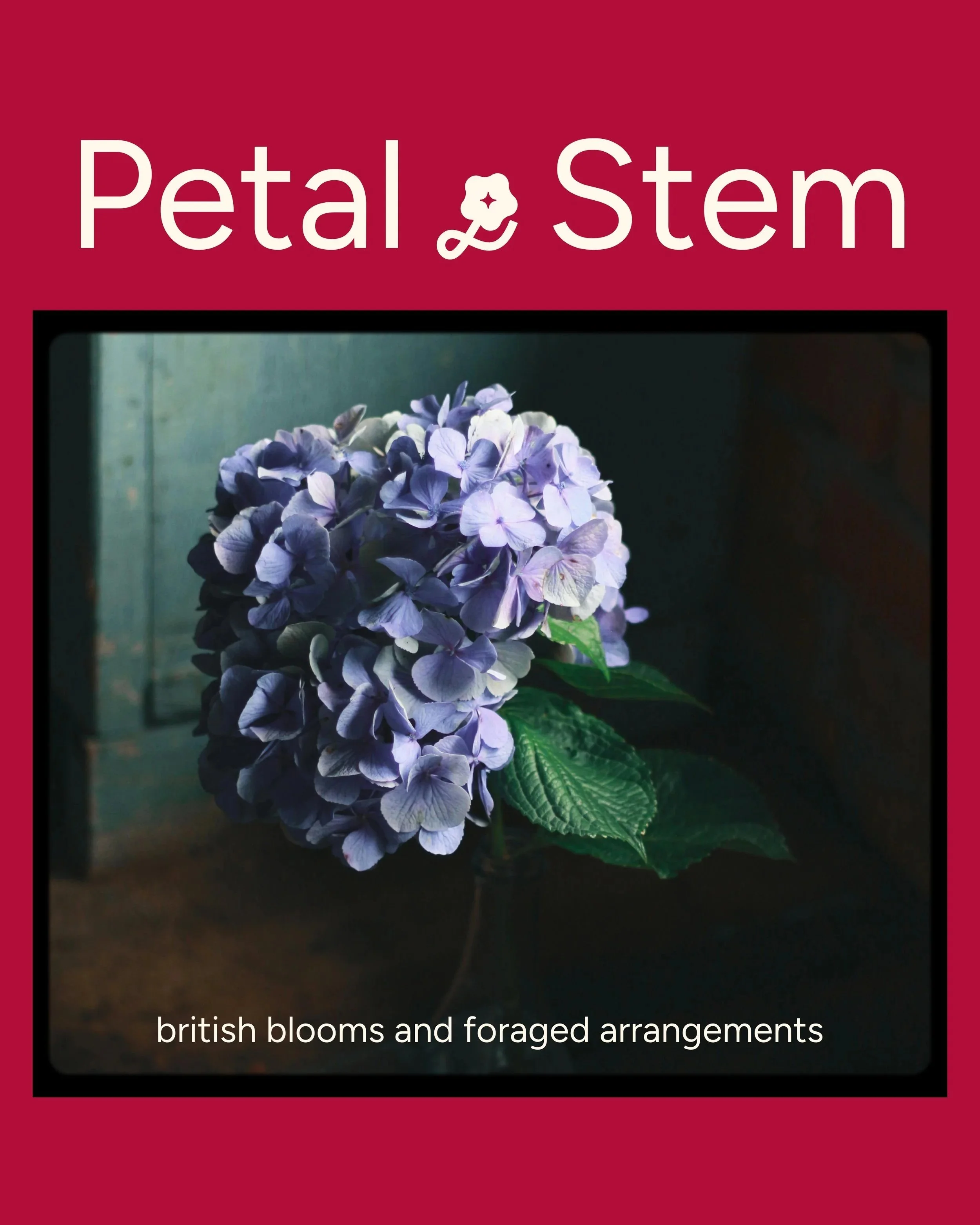 Petal & Stem