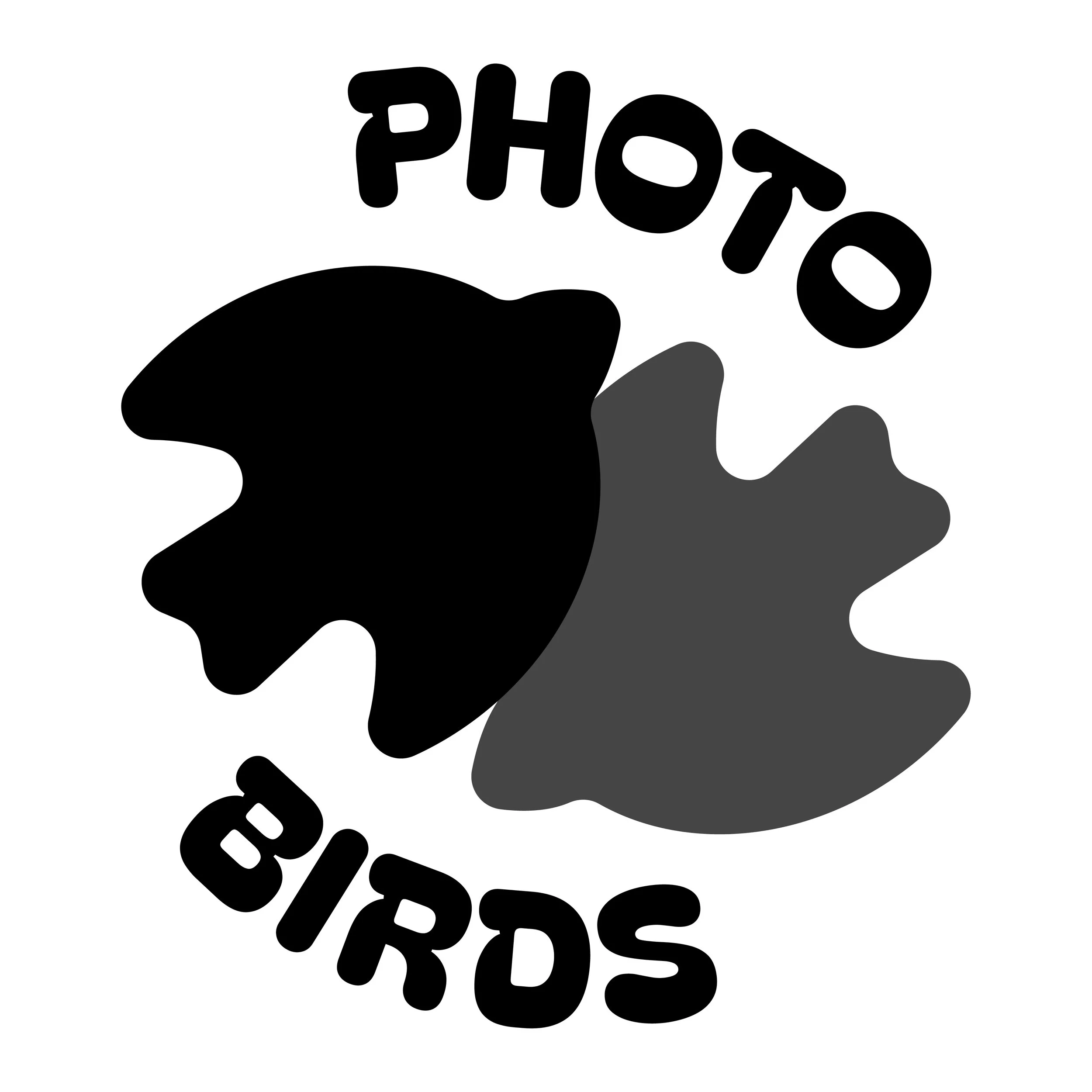 Photo Birds