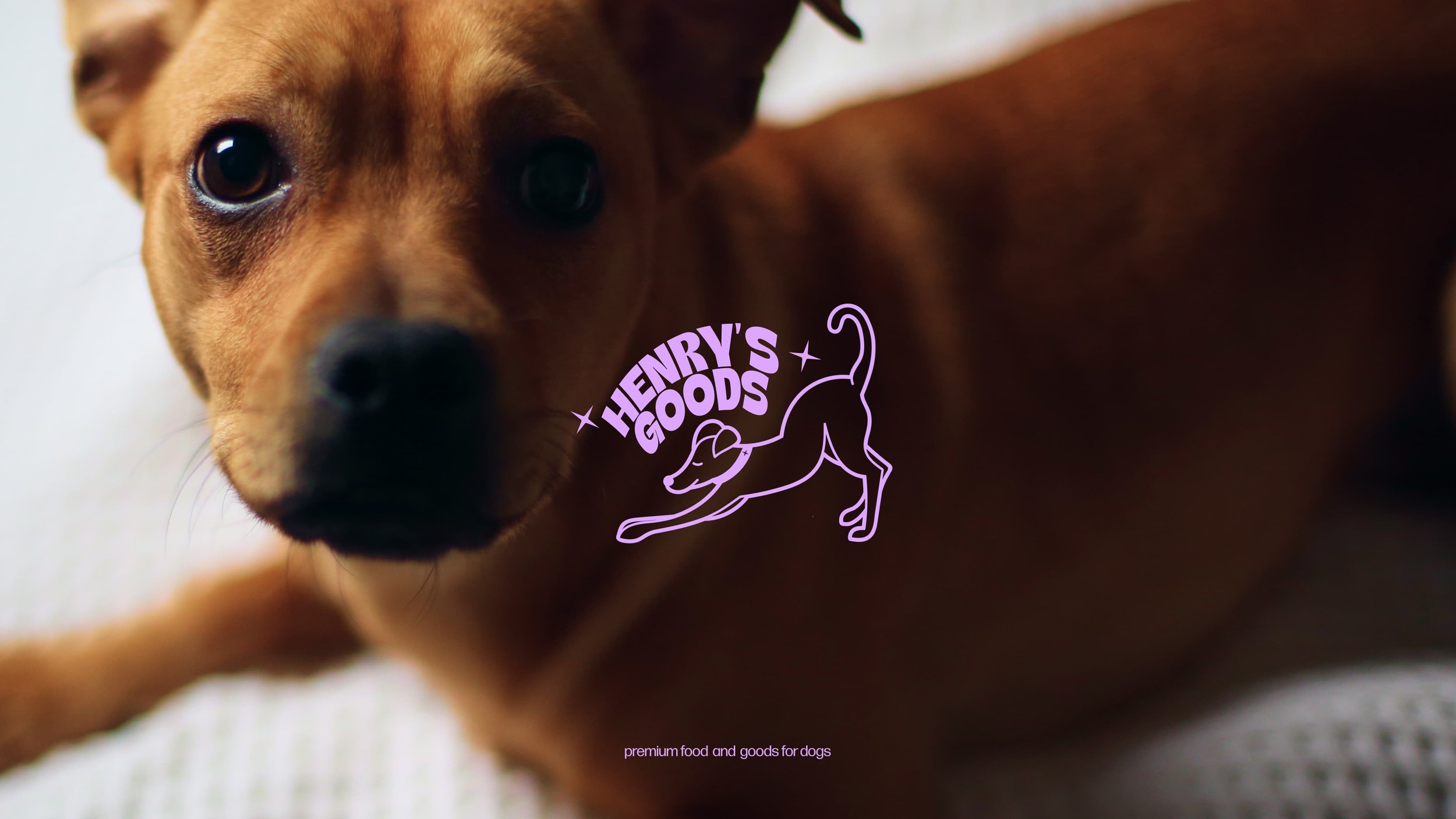 henrysgoods 1 (1).jpg