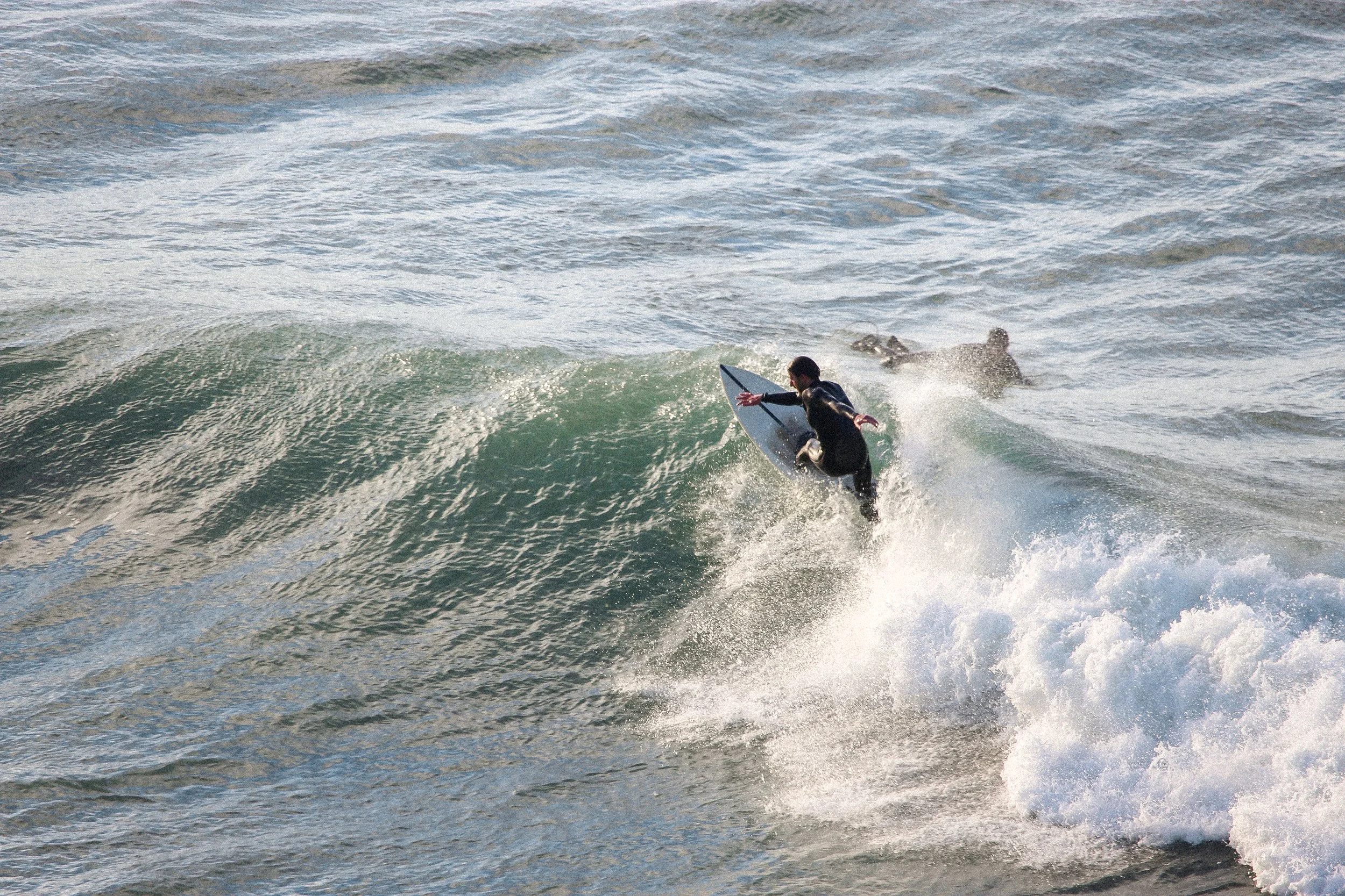 IMG_3356-2.jpg