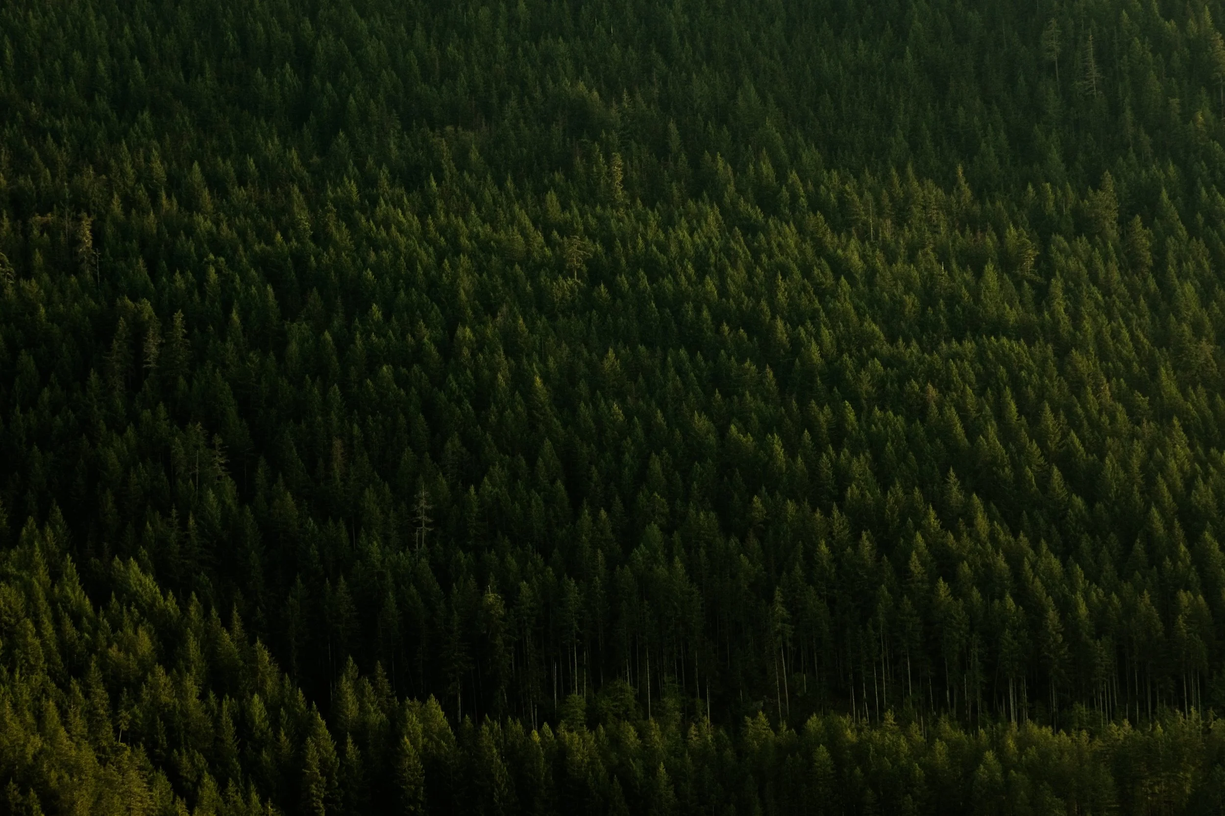 DSCF7639.jpg