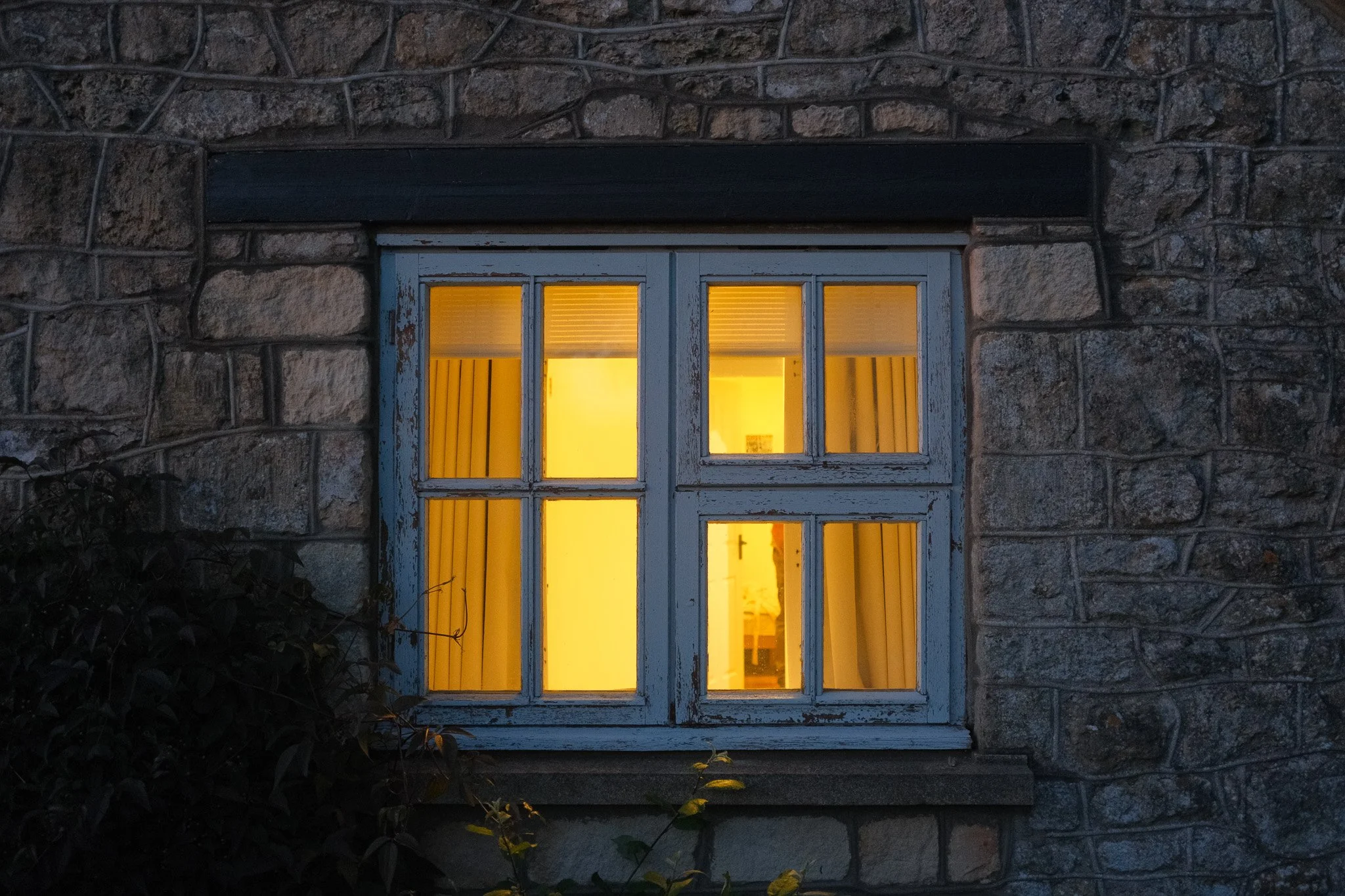 DSCF5292.jpg