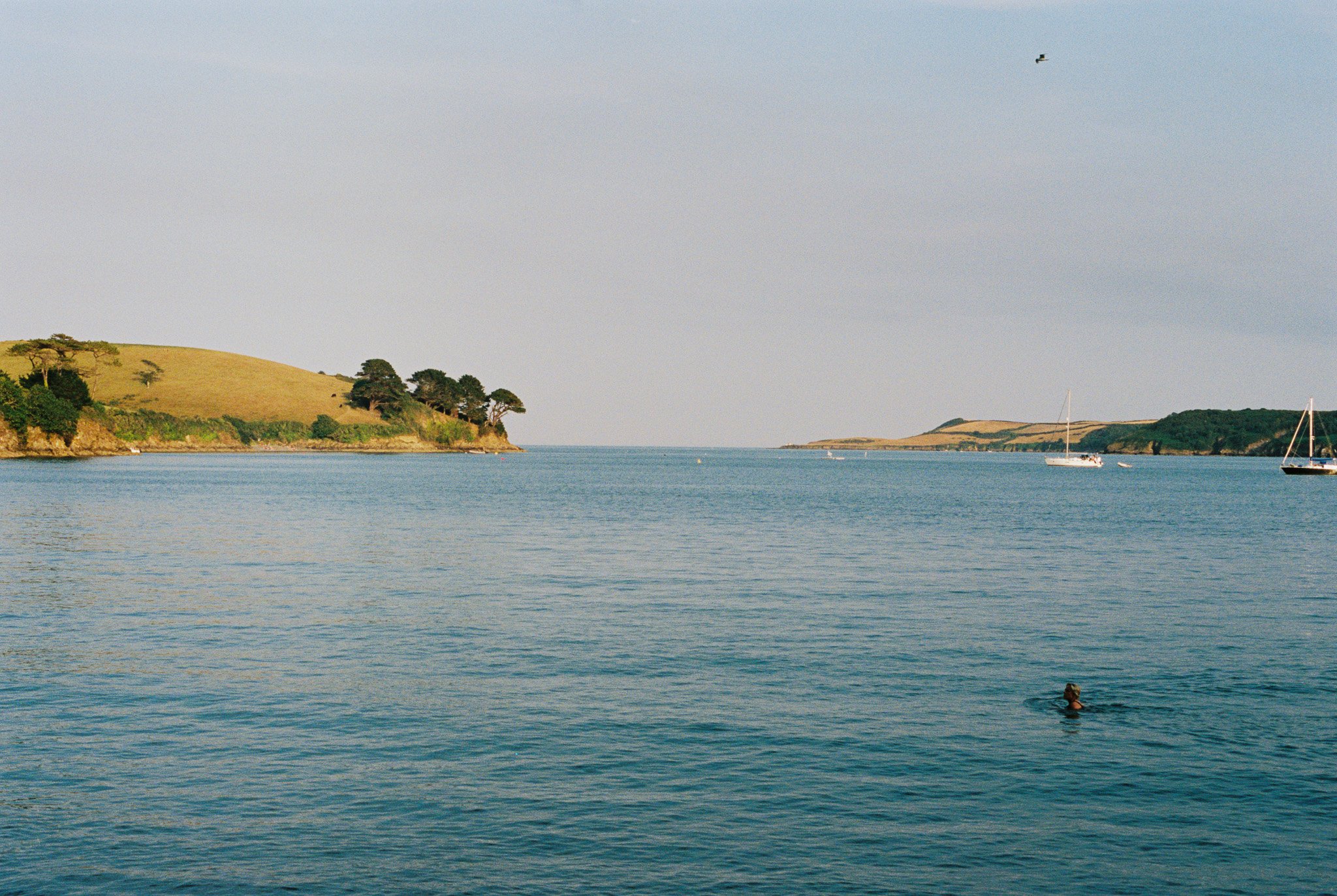 R1-02404-002A.jpg