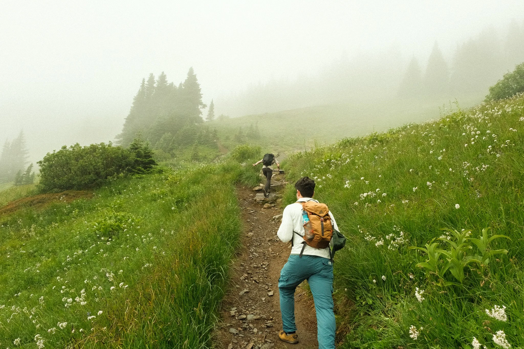 DSCF6985.jpg