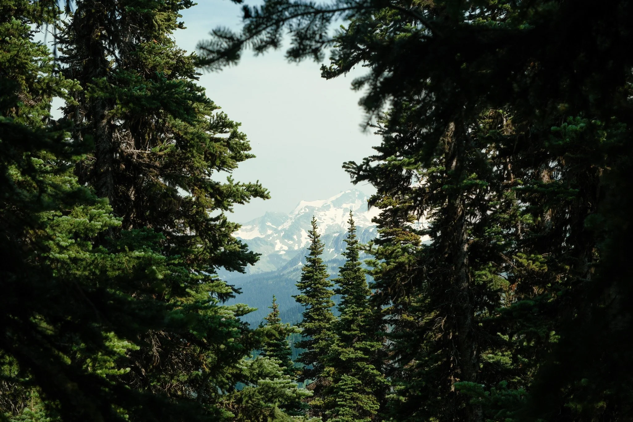 DSCF7205.jpg
