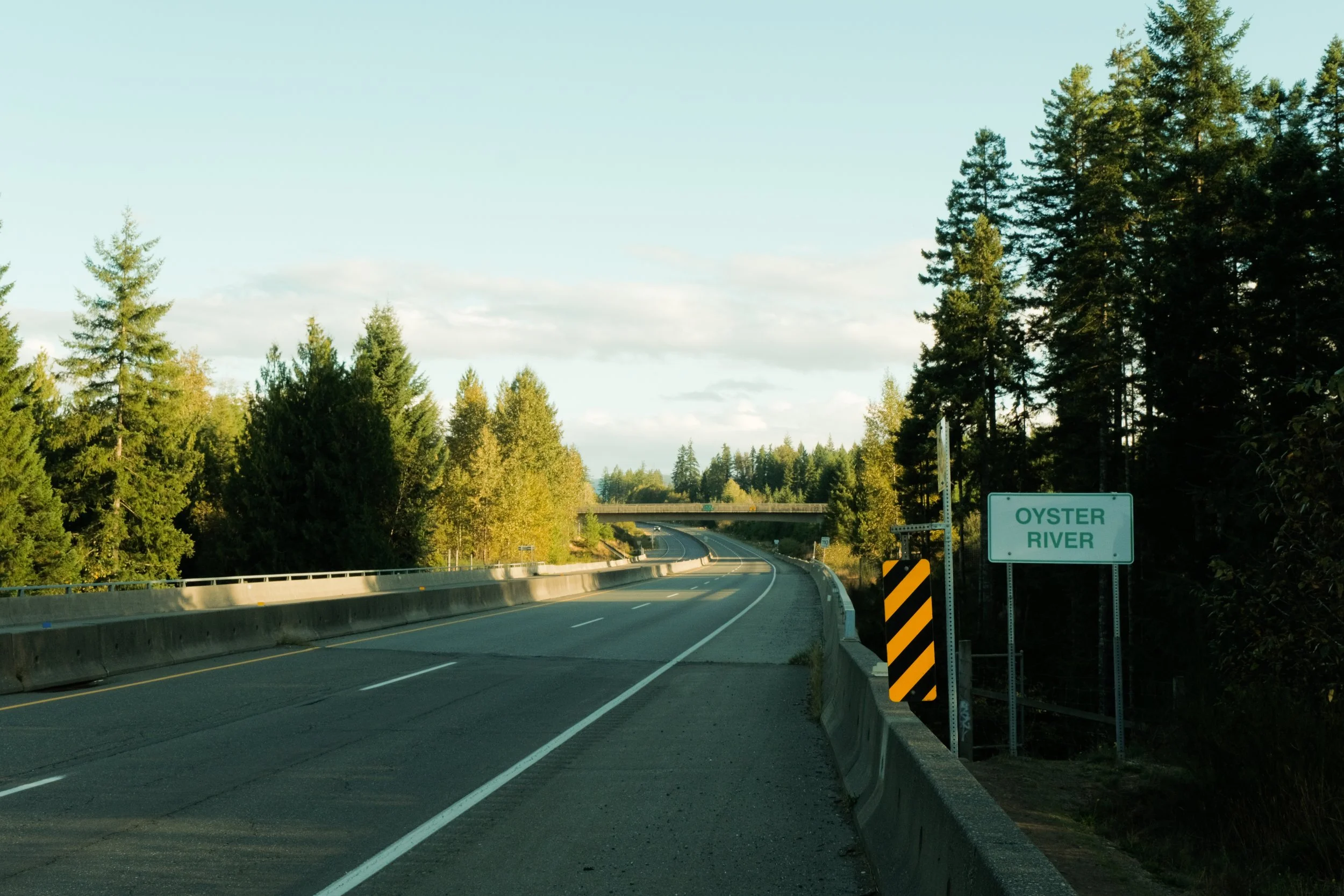 DSCF7909.jpg