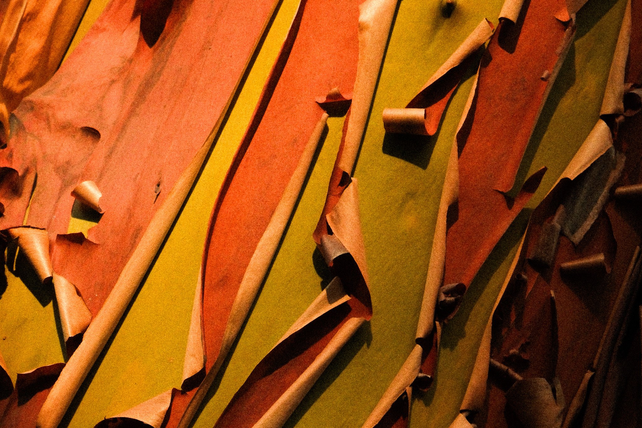 DSCF7709.jpg