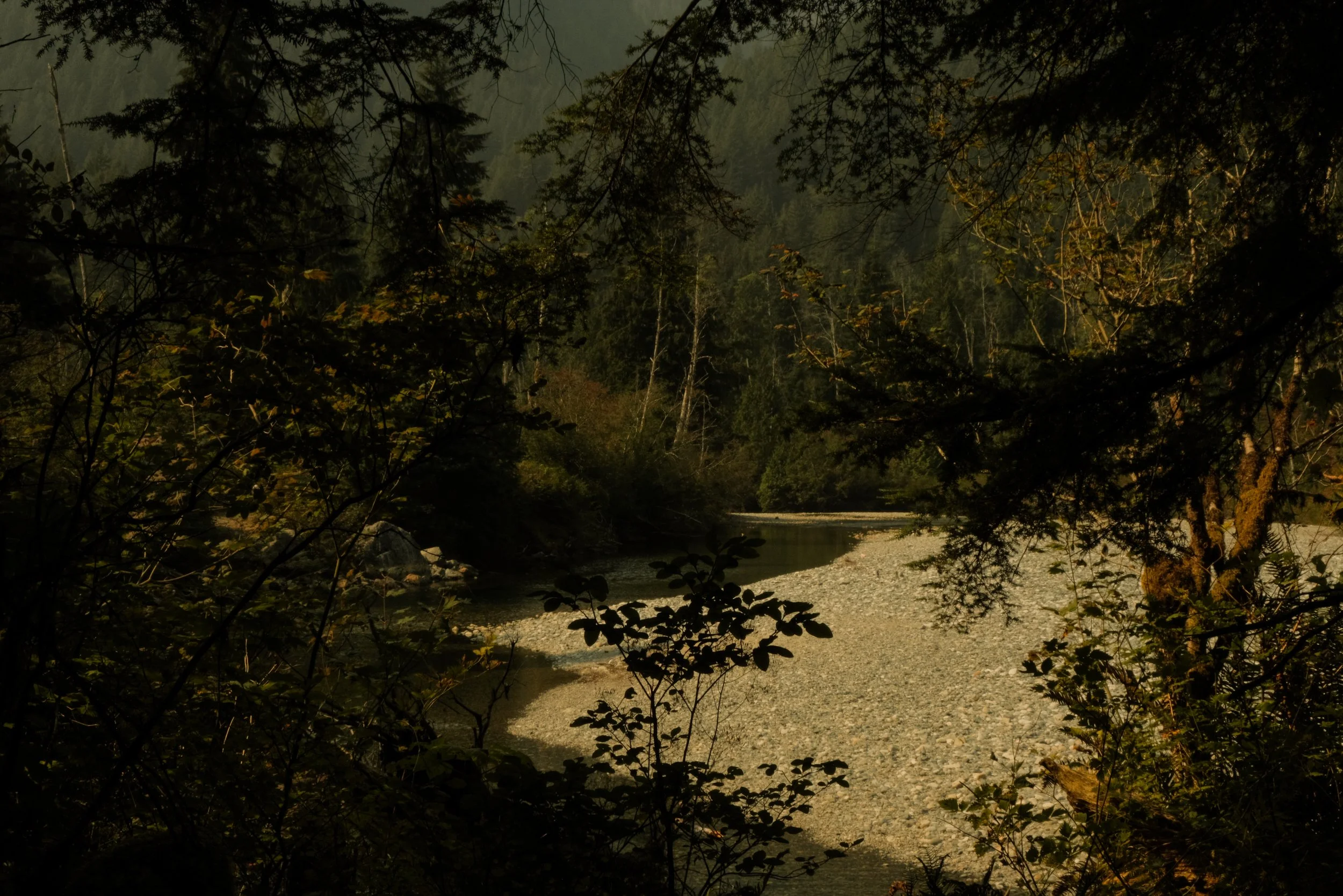 DSCF7383.jpg