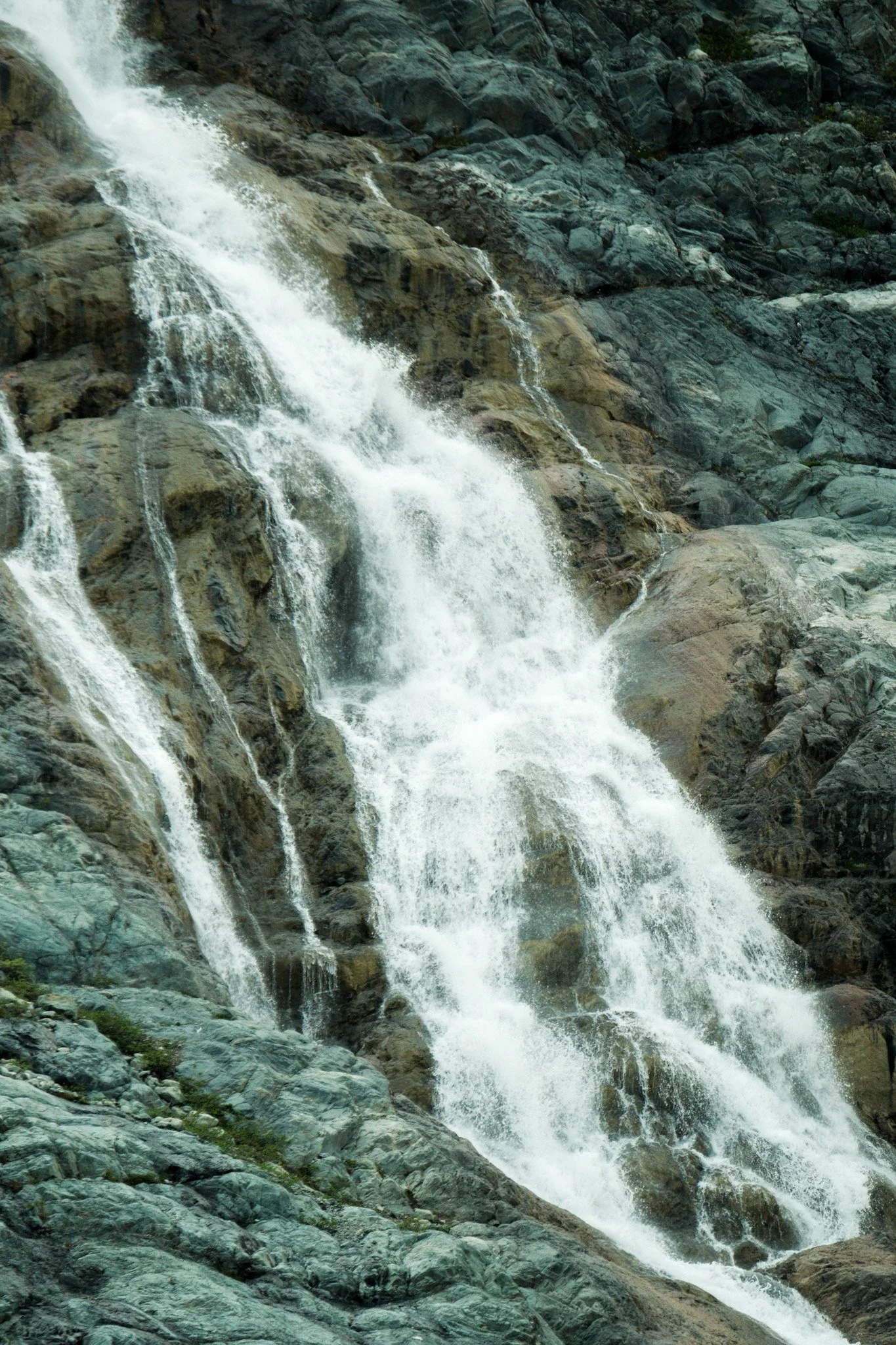 DSCF7582.jpg