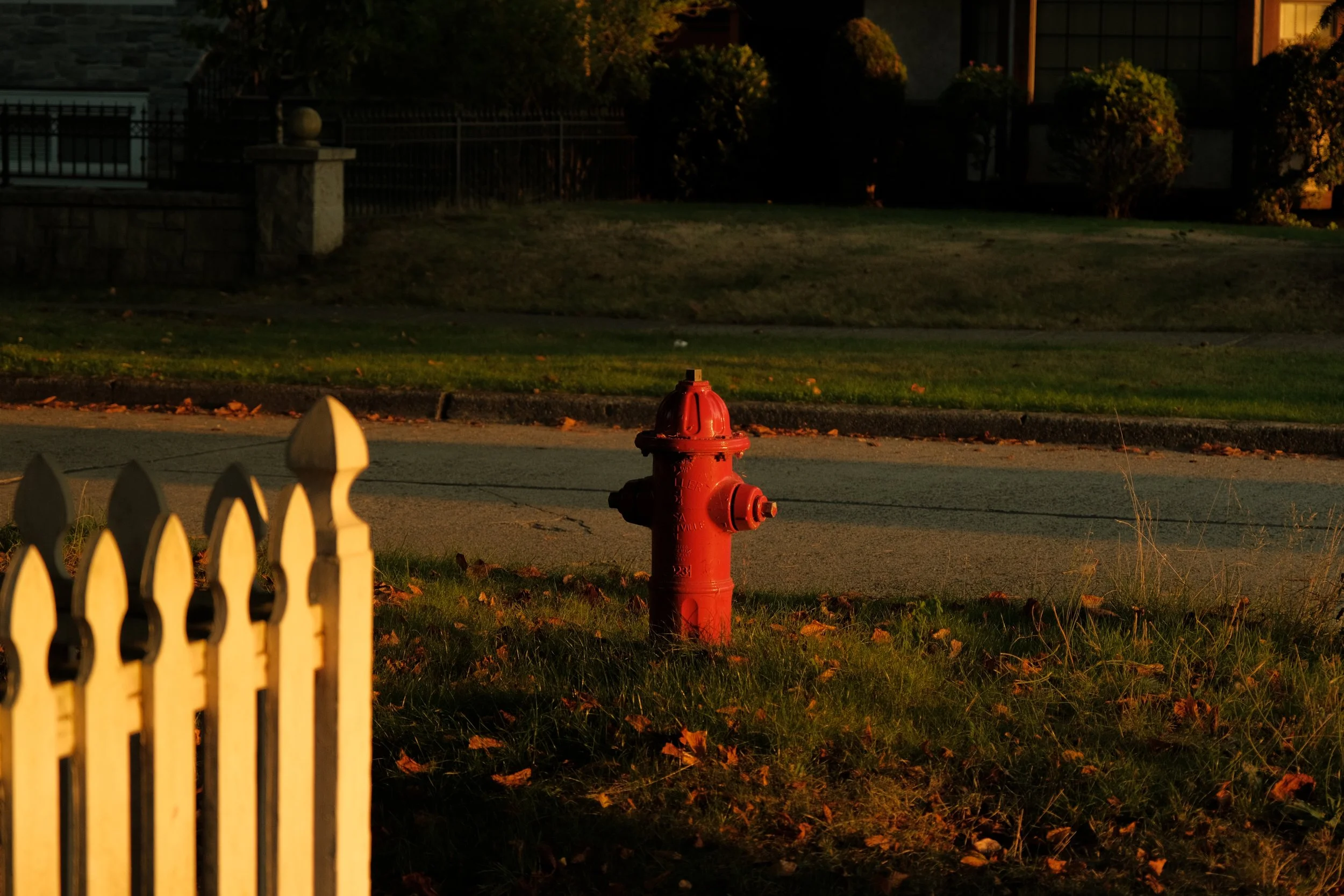 DSCF7338.jpg