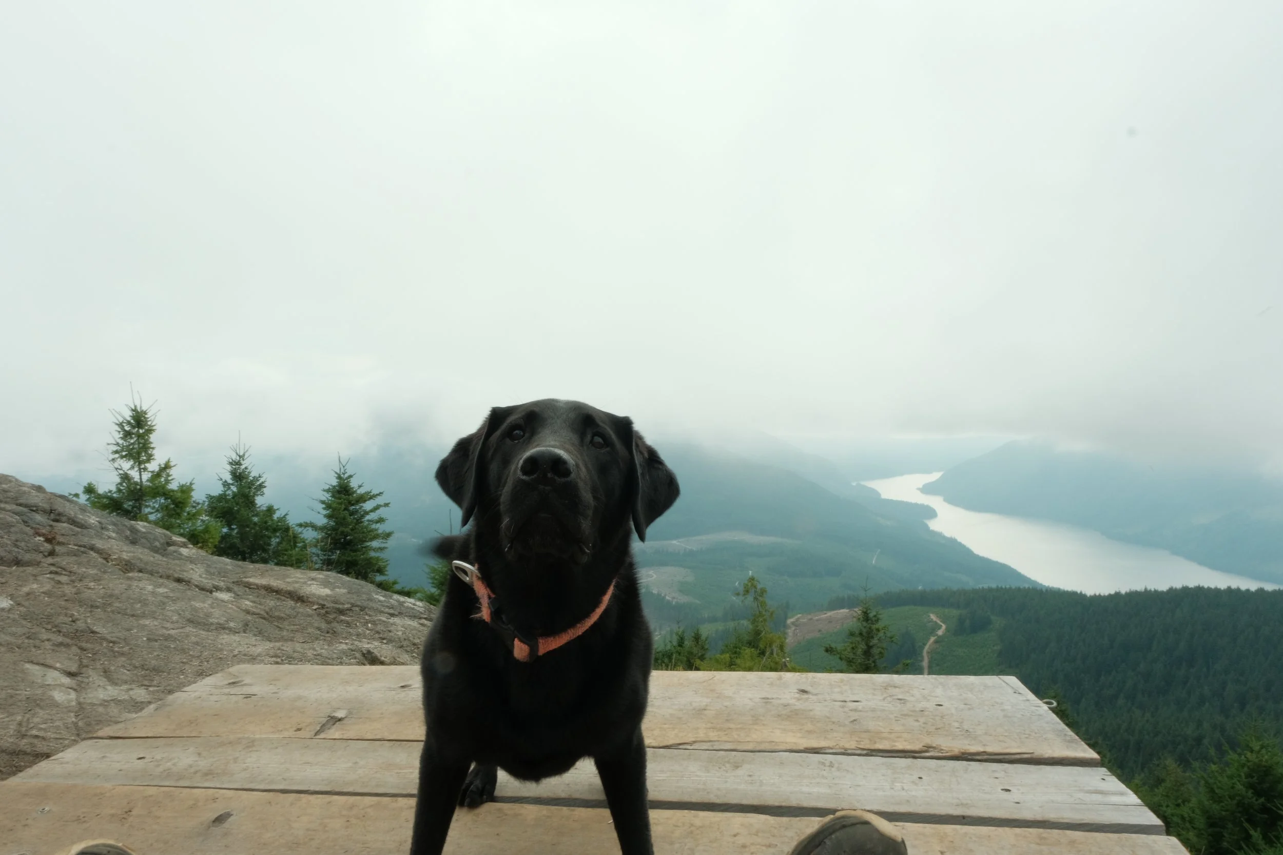 DSCF7726.jpg