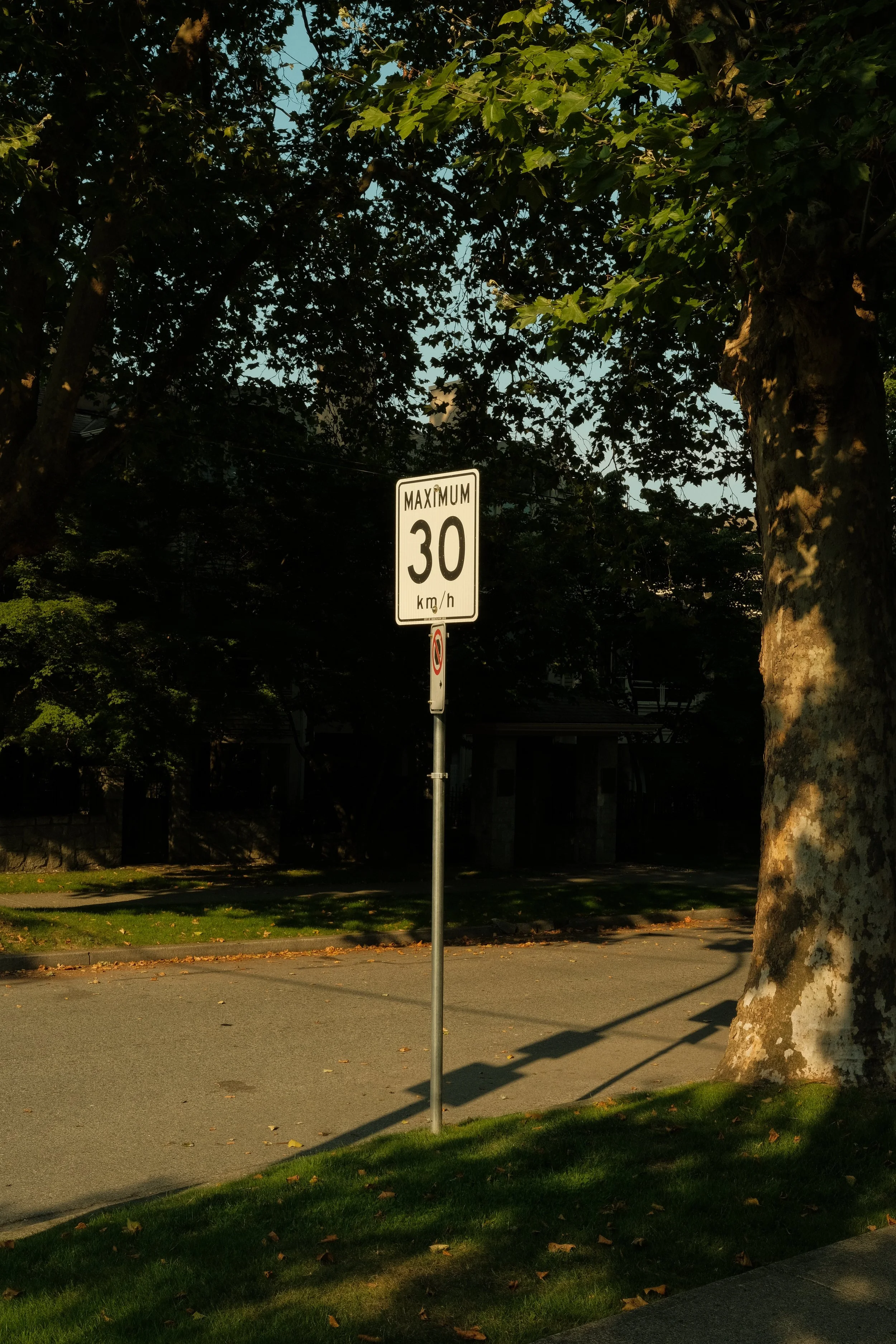 DSCF7241.jpg
