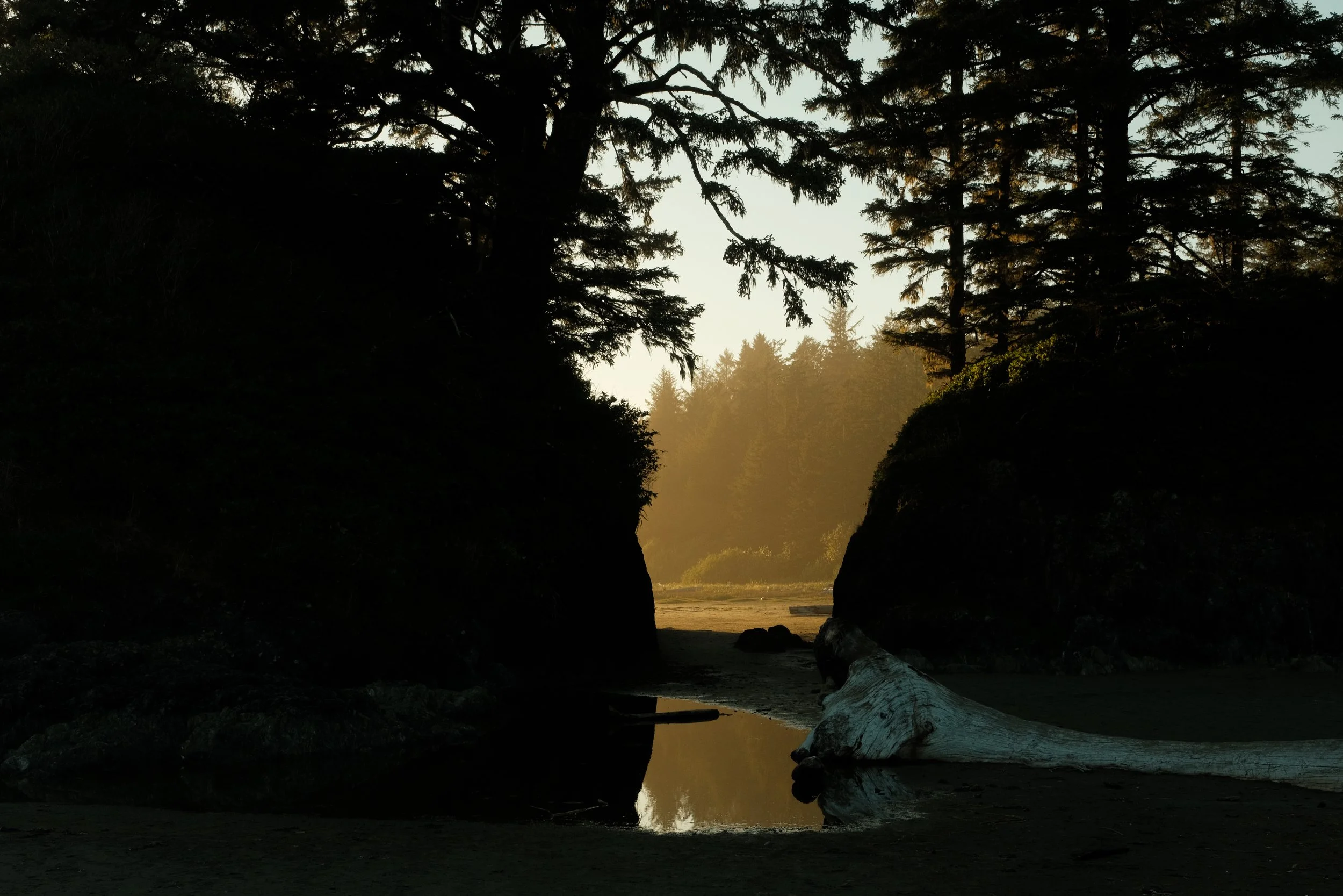 DSCF8071.jpg