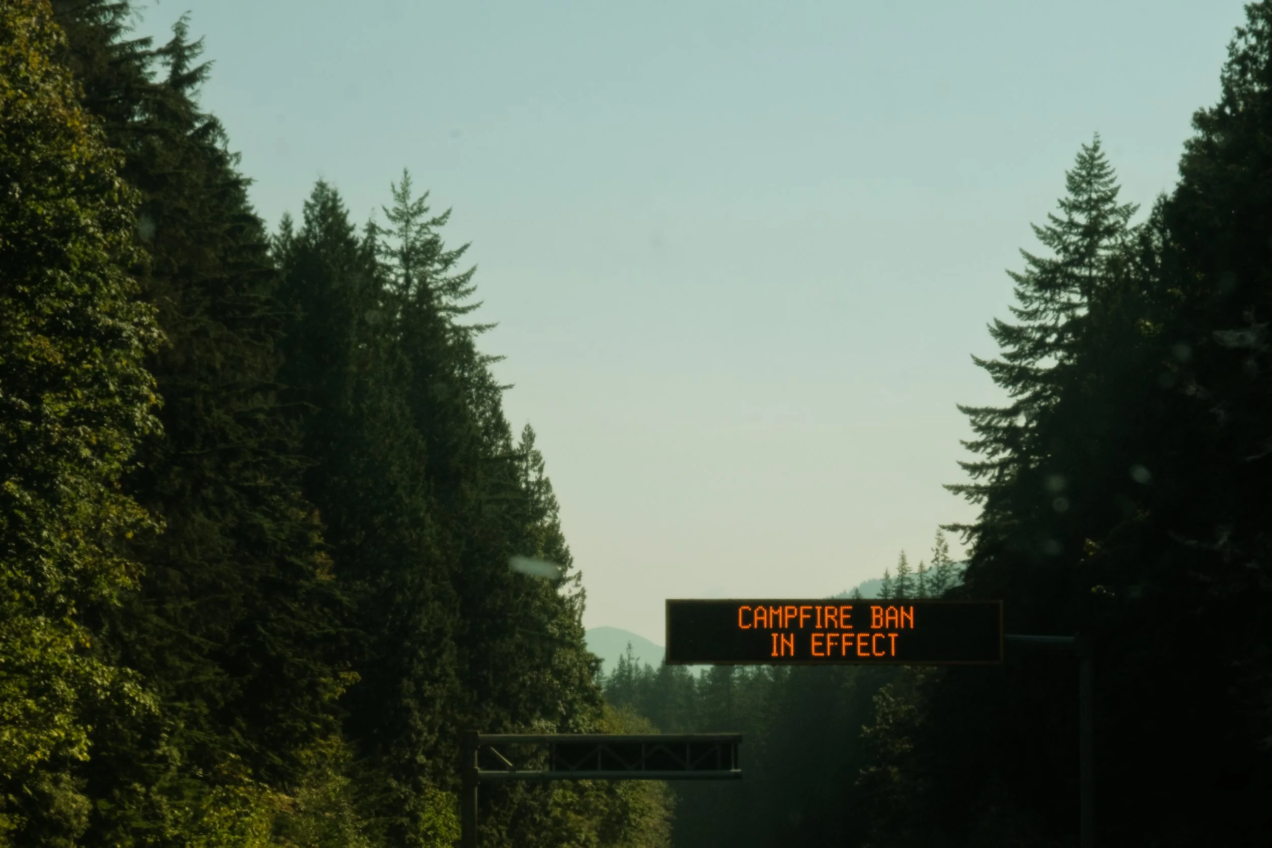 DSCF7470.jpg
