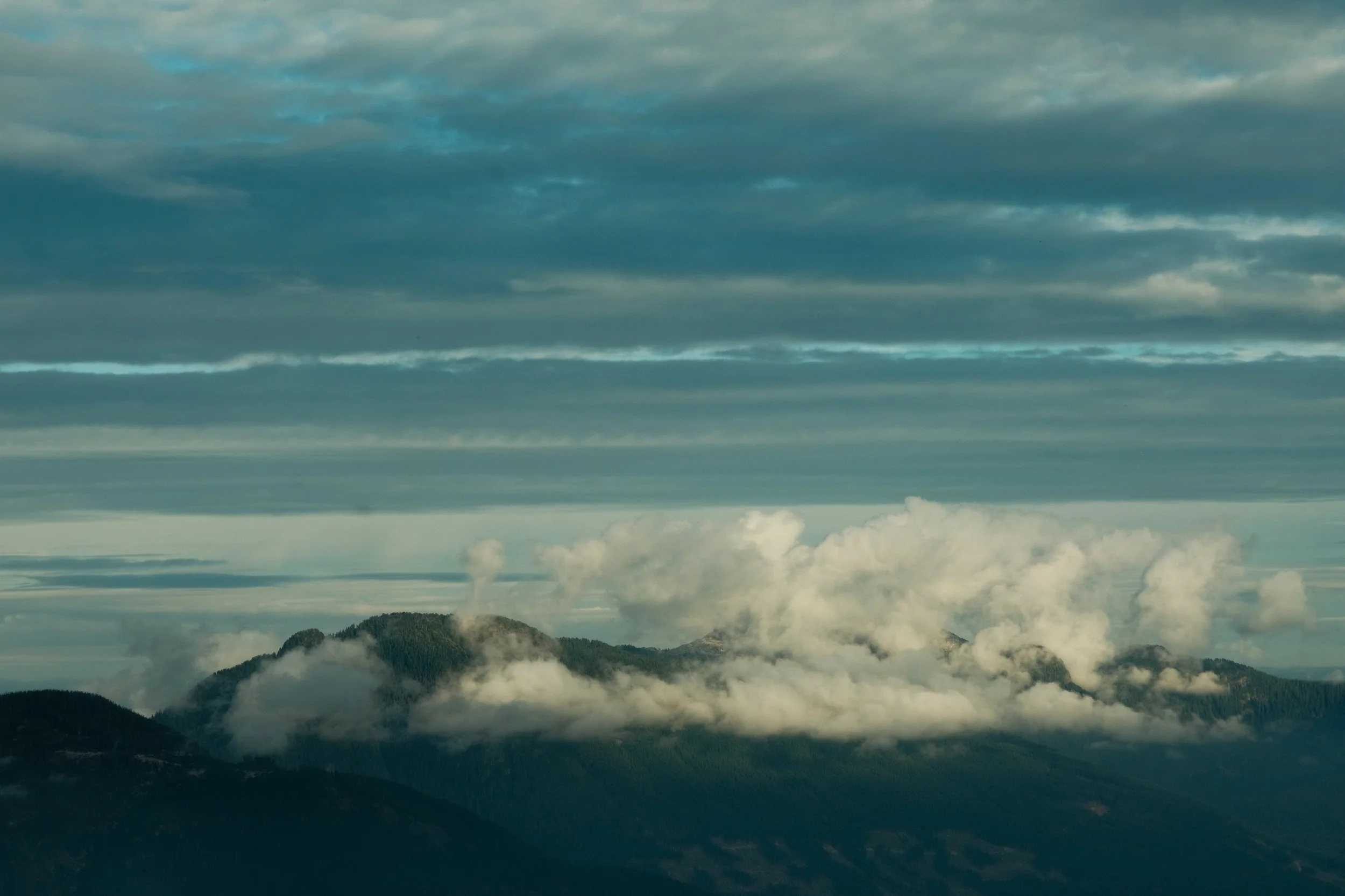 DSCF7783.jpg