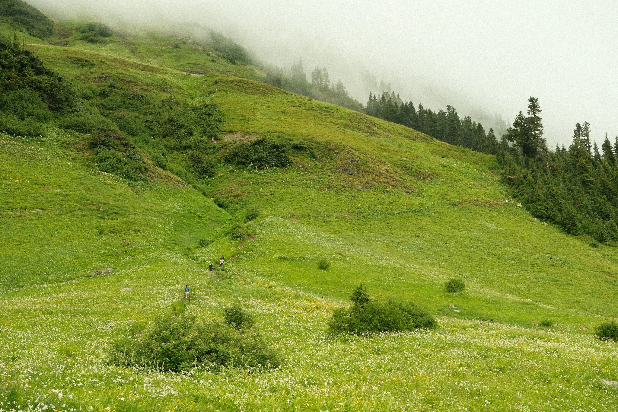 DSCF6990.jpg