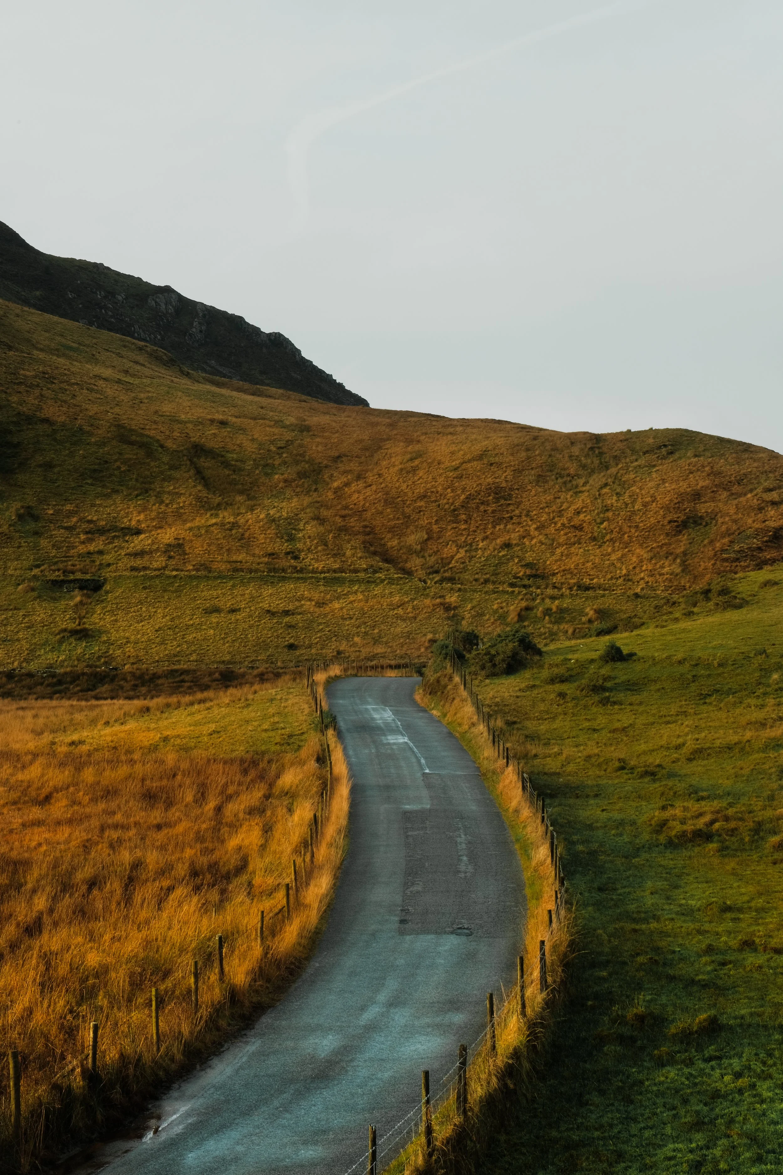 DSCF6440.jpg