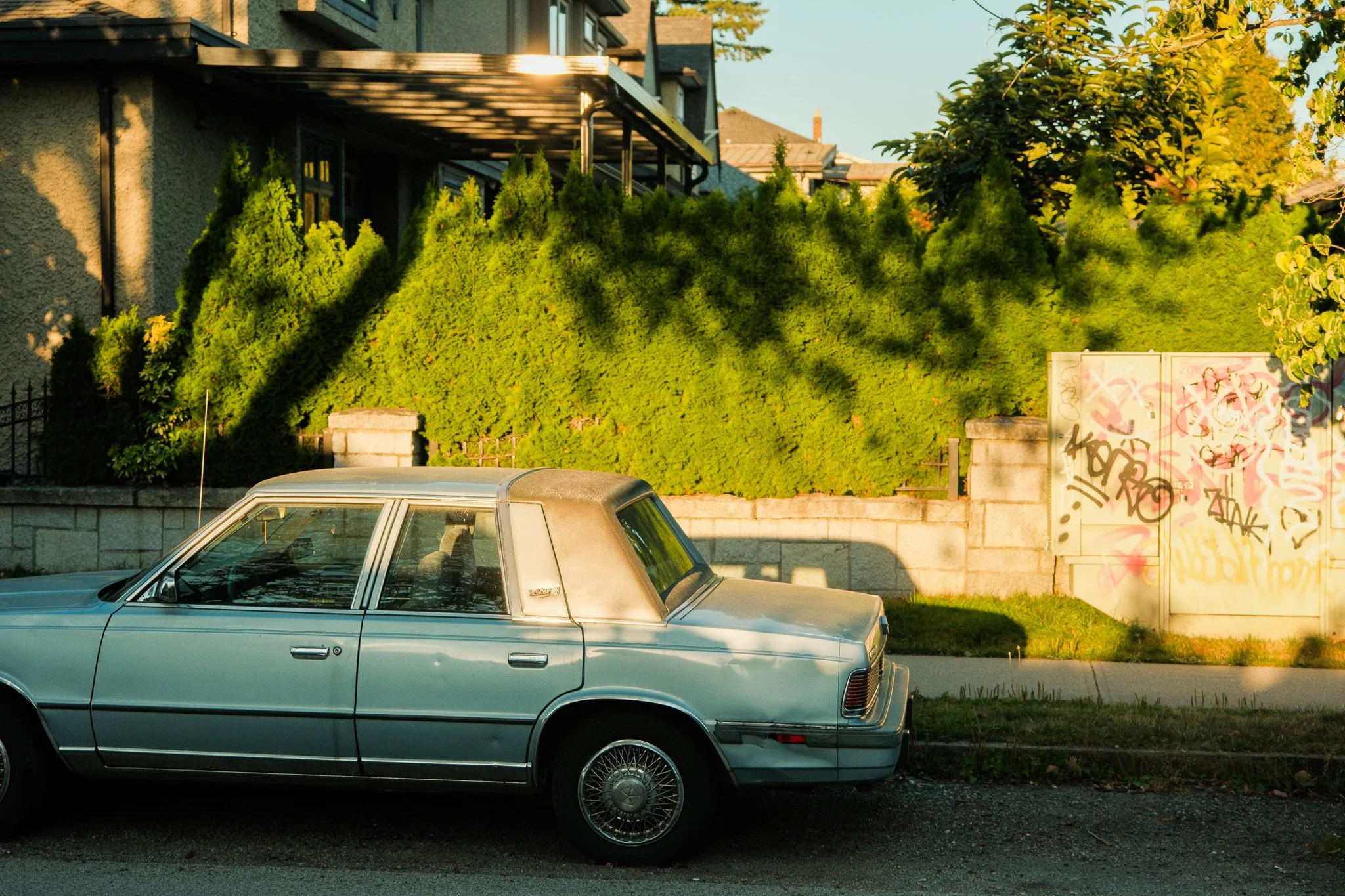 DSCF7800.jpg