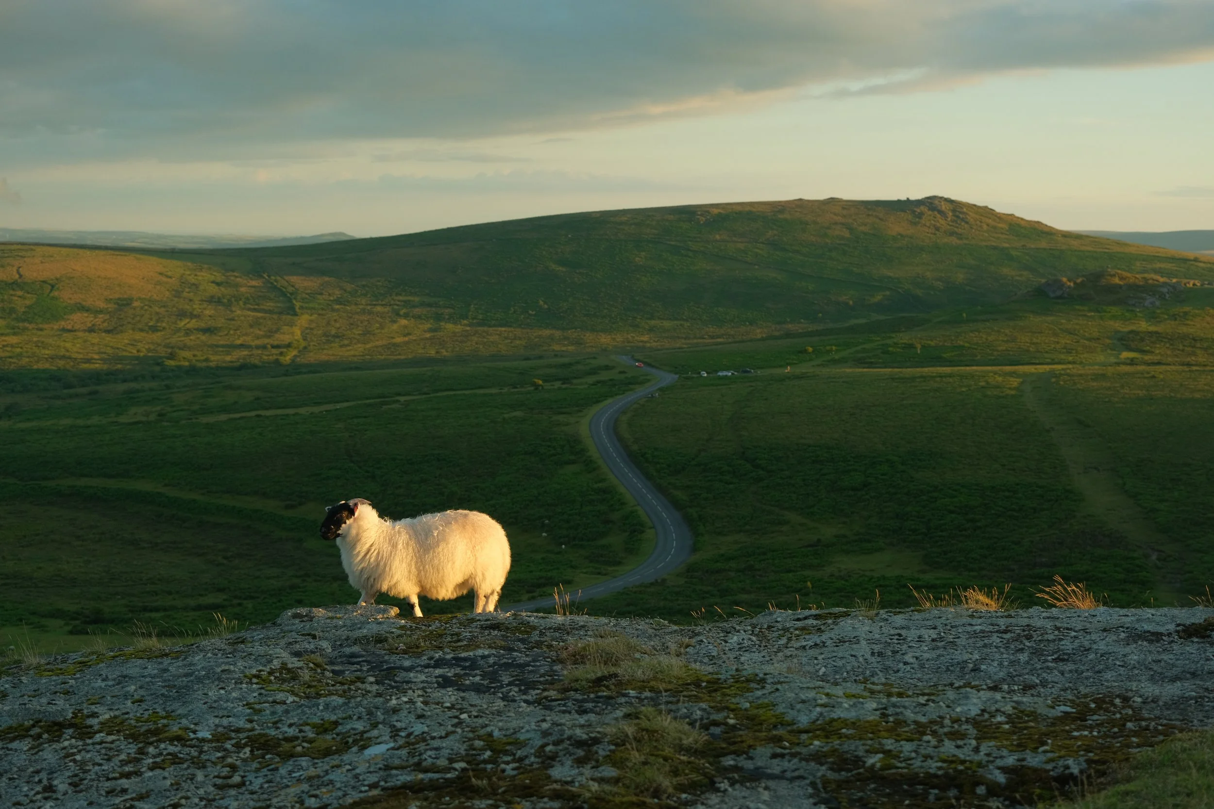 DSCF5403.jpg