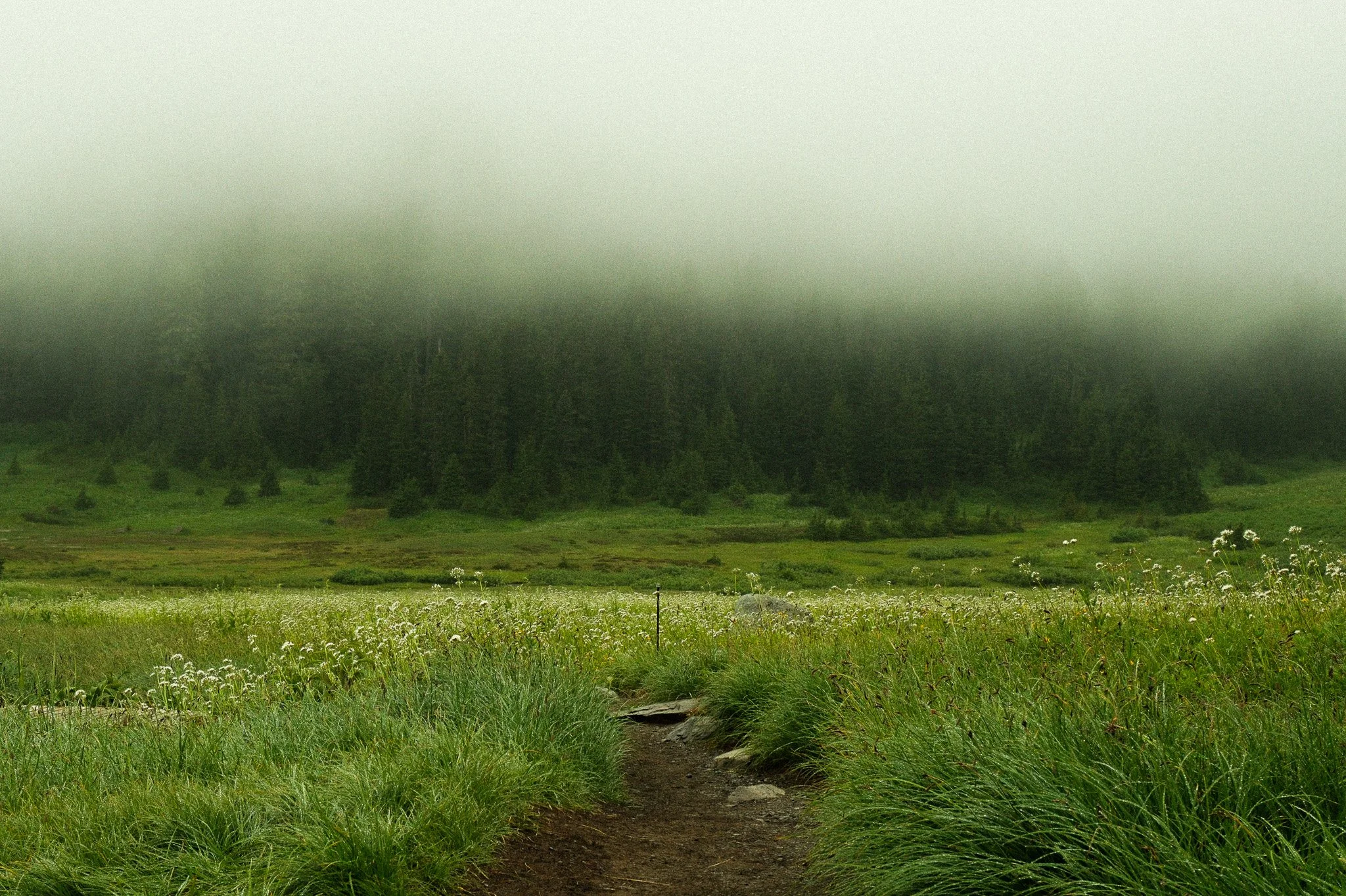 DSCF6970.jpg