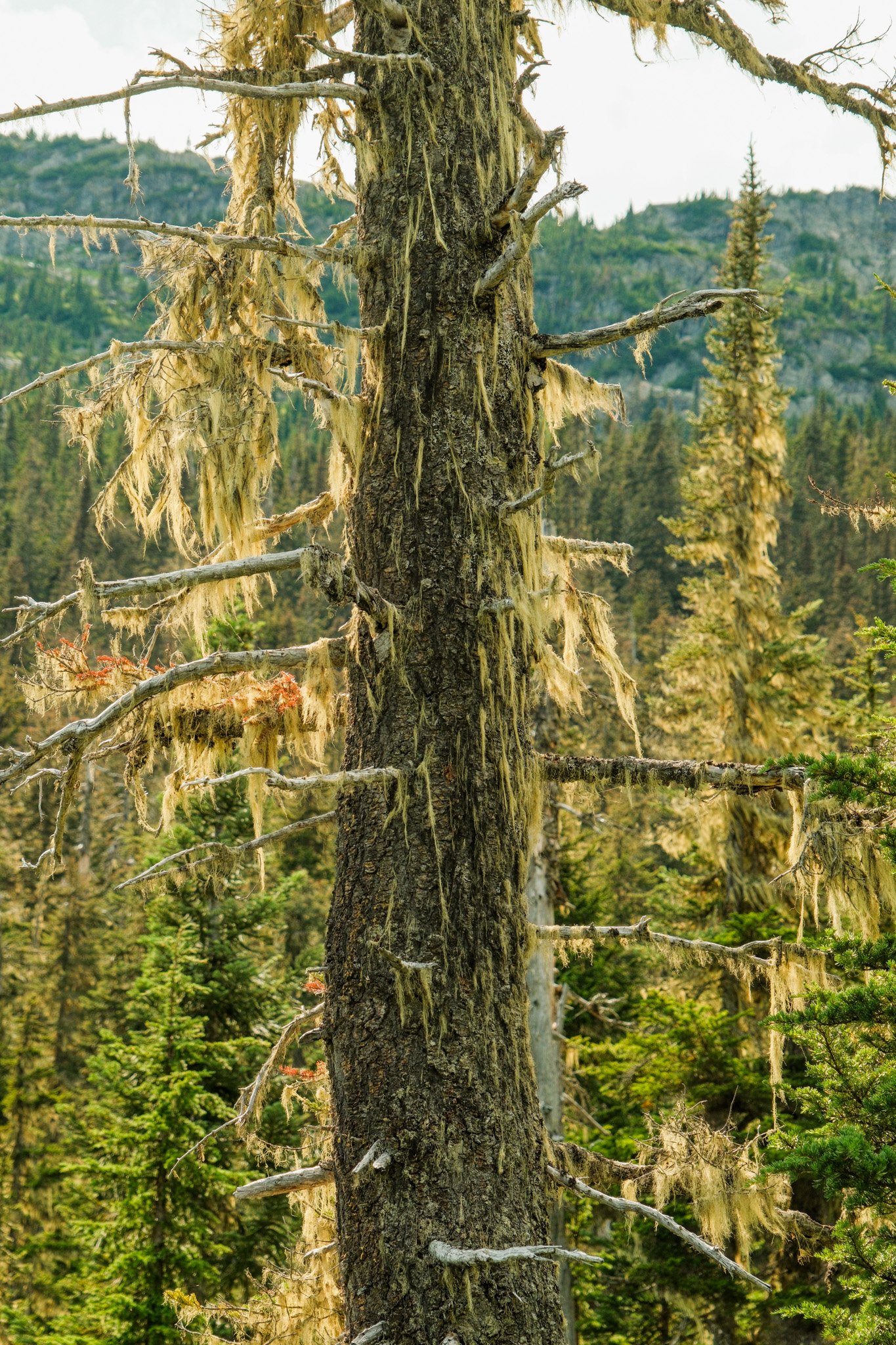 DSCF7410.jpg