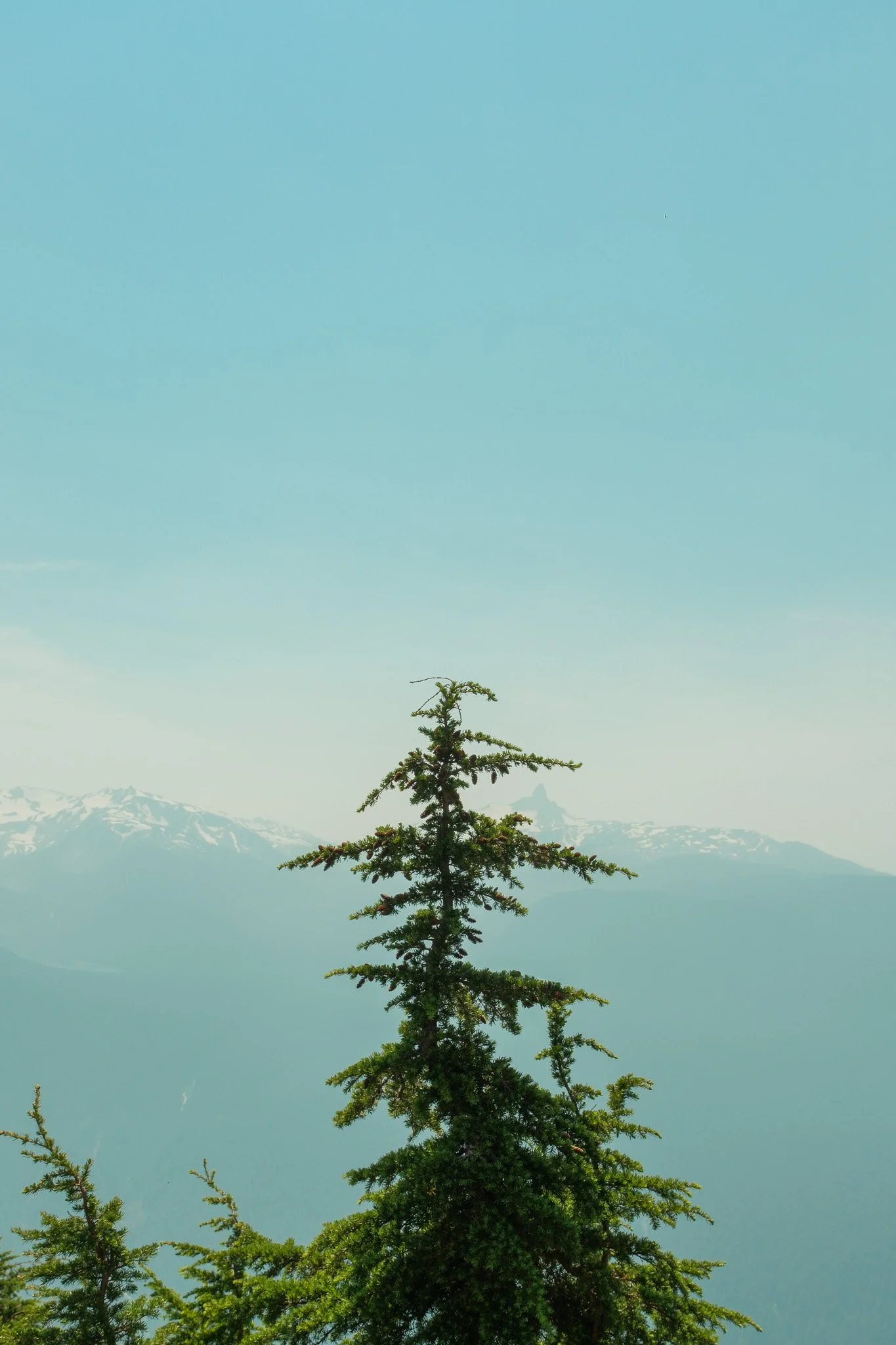 DSCF7178.jpg