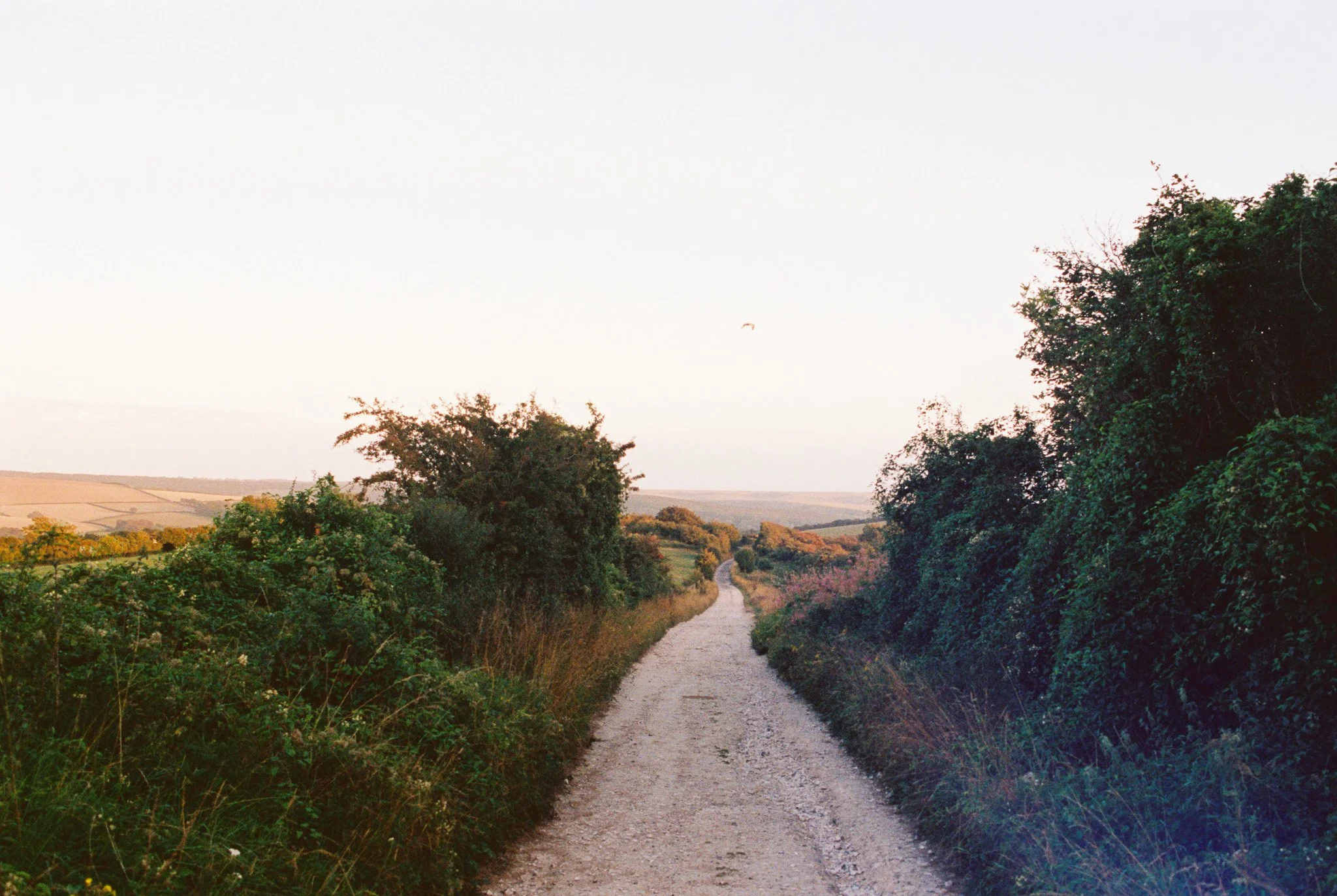 R1-05760-018A.jpg