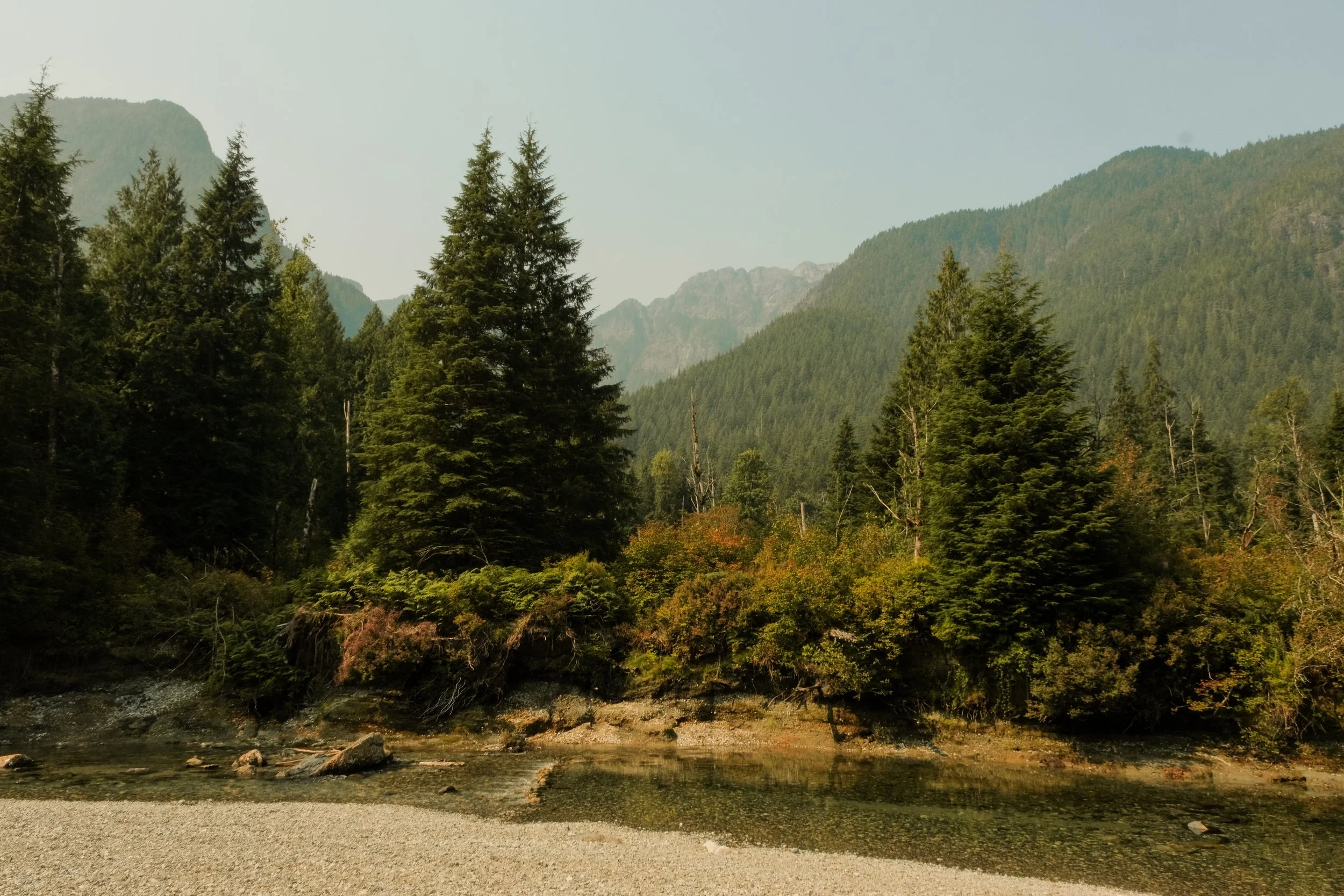 DSCF7375.jpg