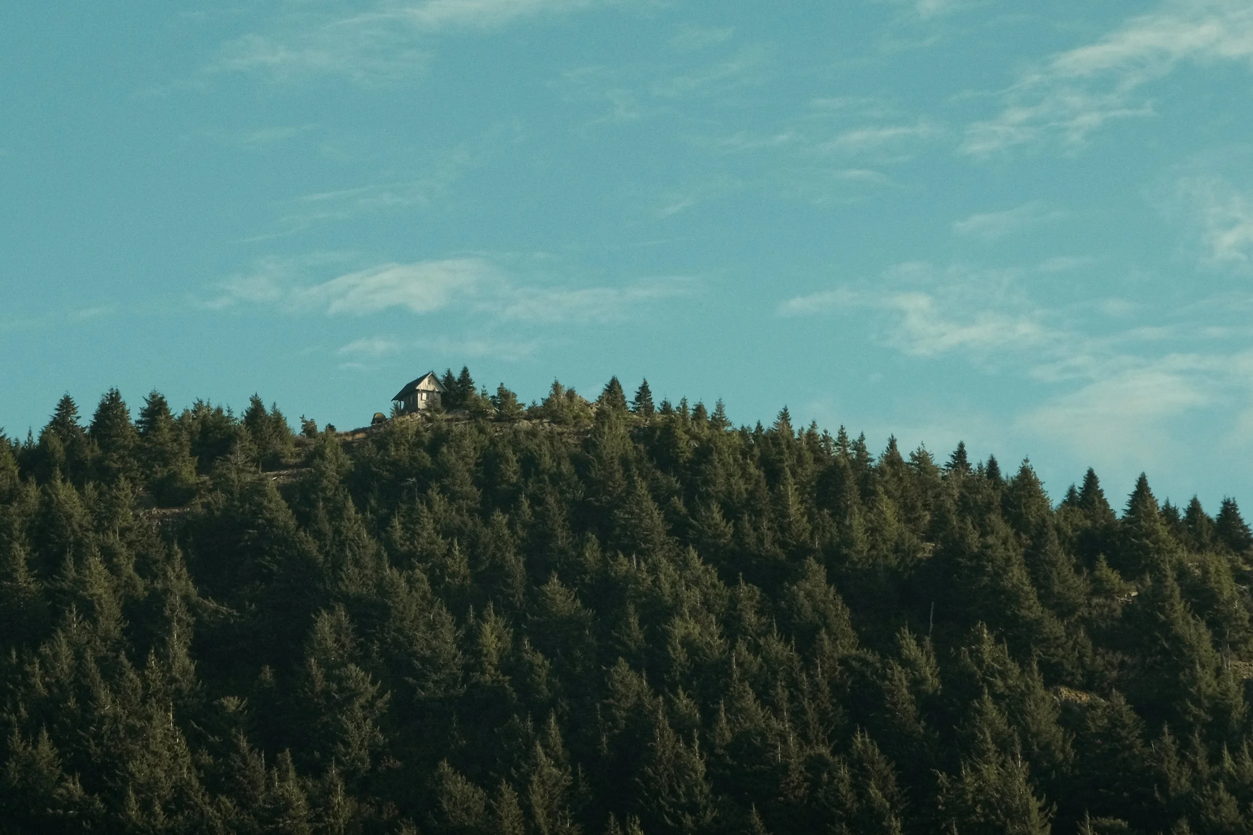 DSCF7851.jpg
