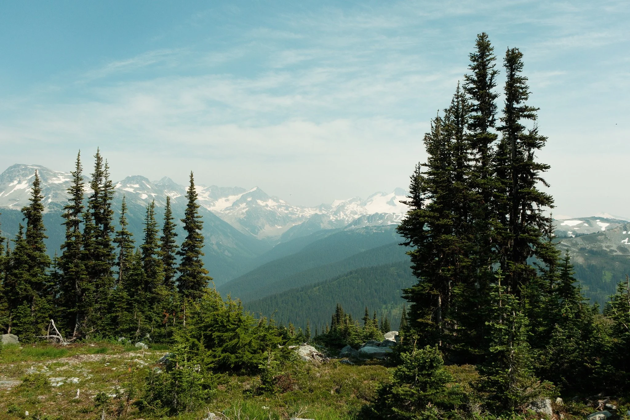DSCF7217.jpg