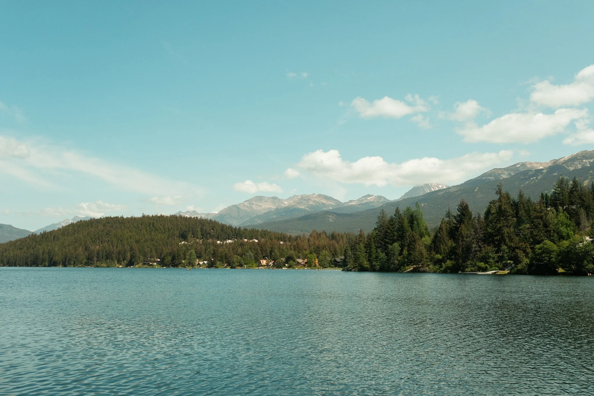 DSCF7031.jpg