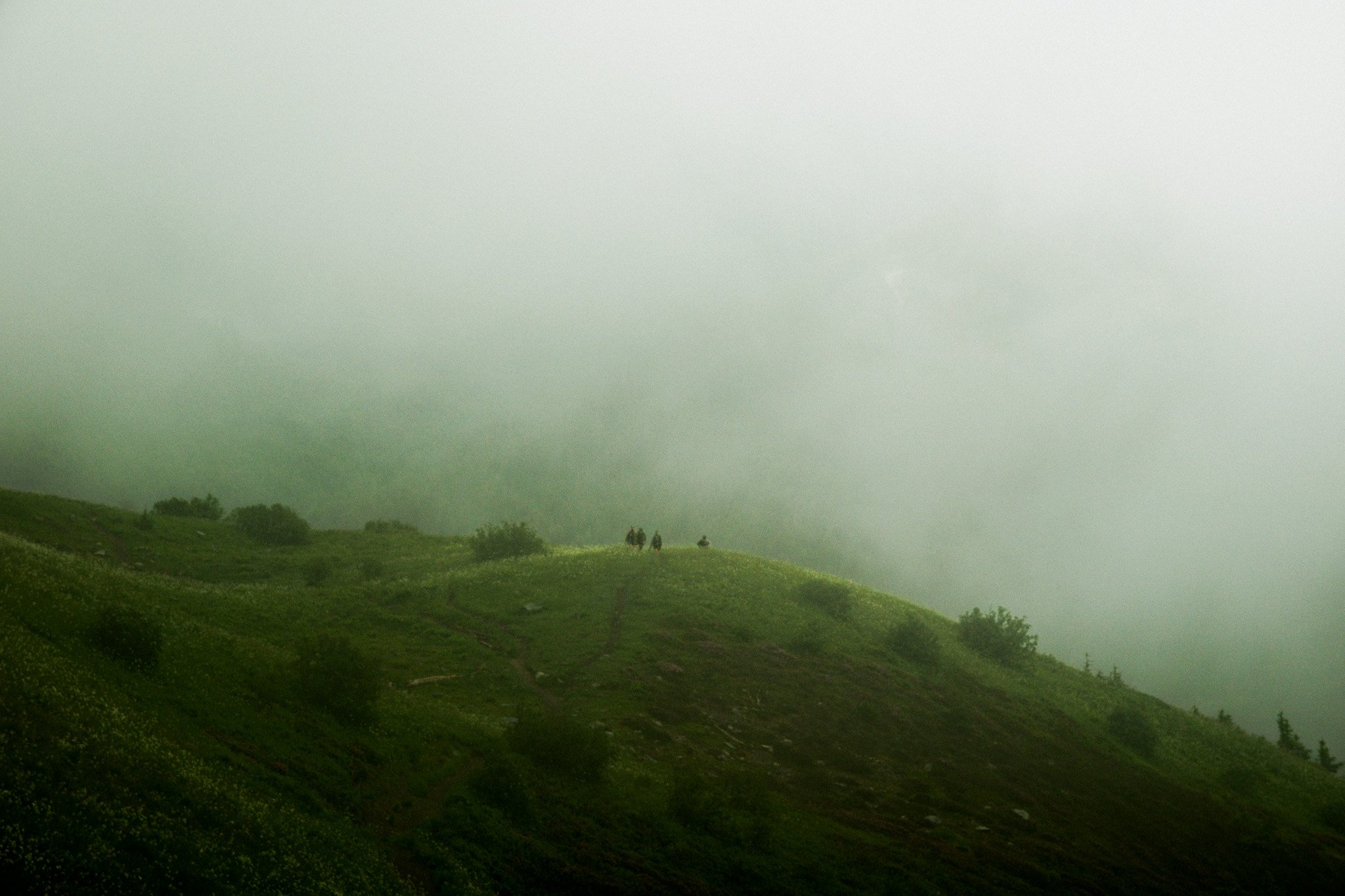 DSCF6986.jpg