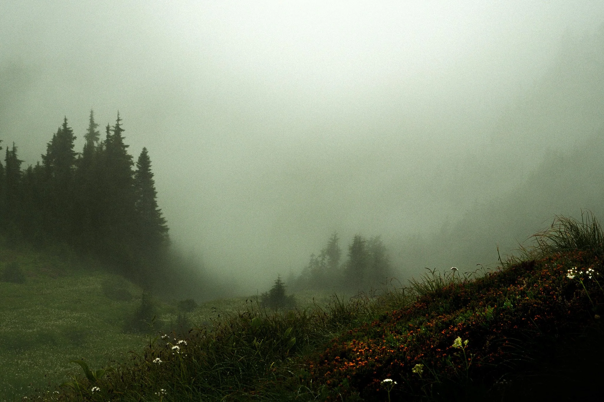 DSCF6987.jpg