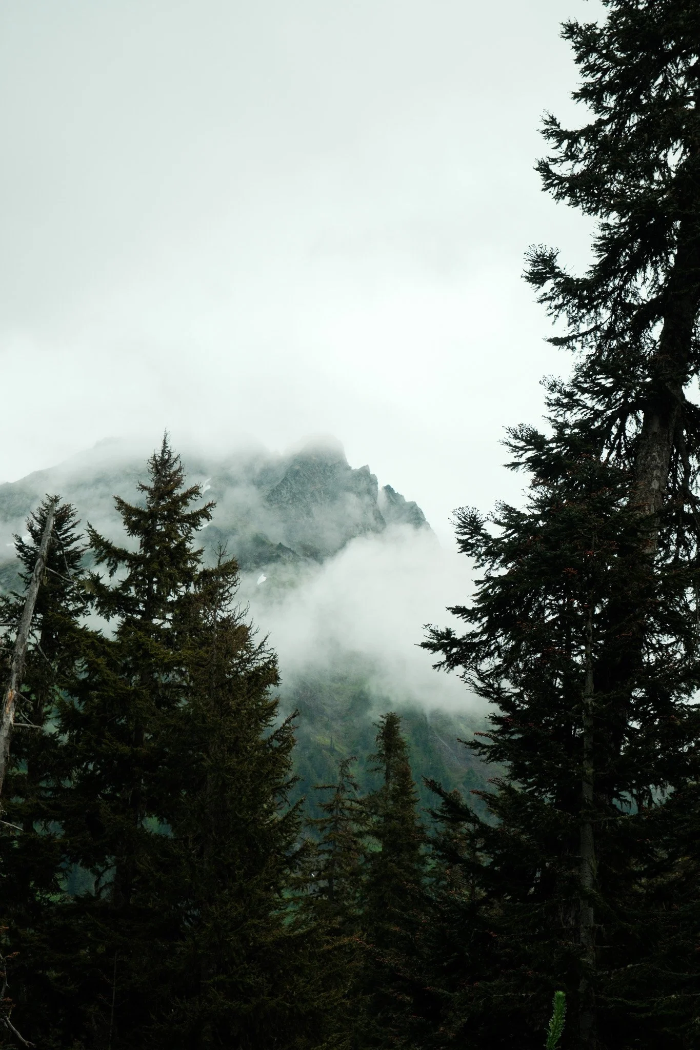 DSCF7008.jpg