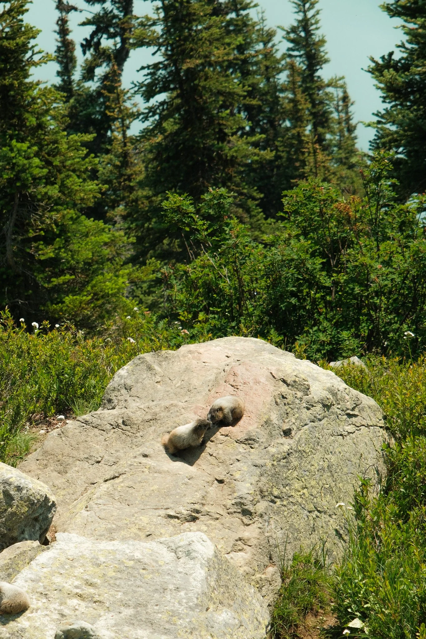 DSCF7187.jpg