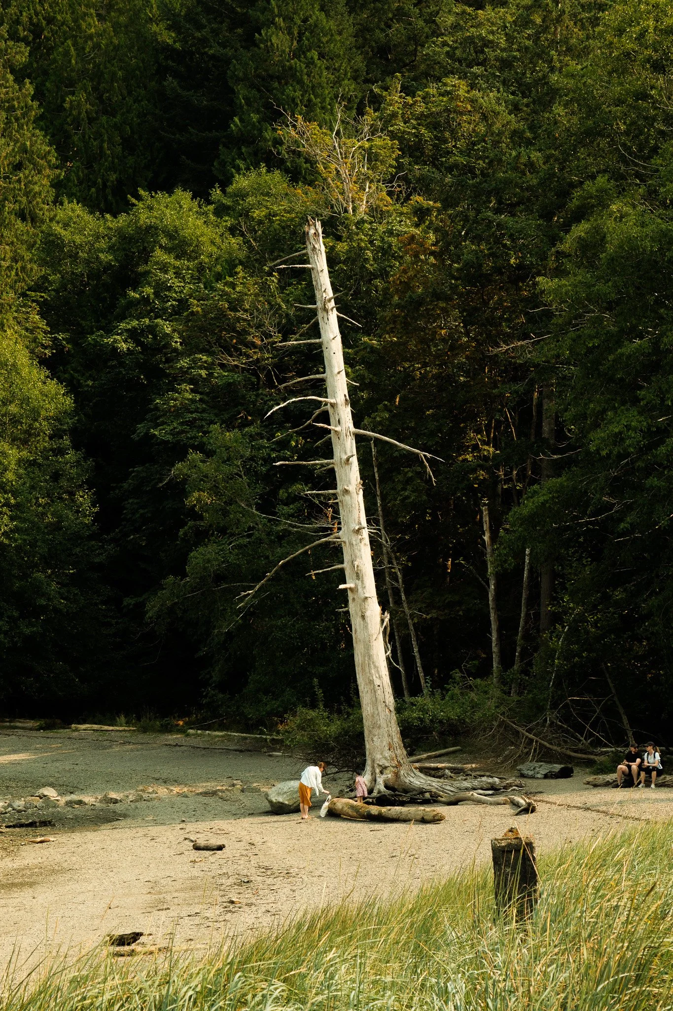 DSCF7701.jpg