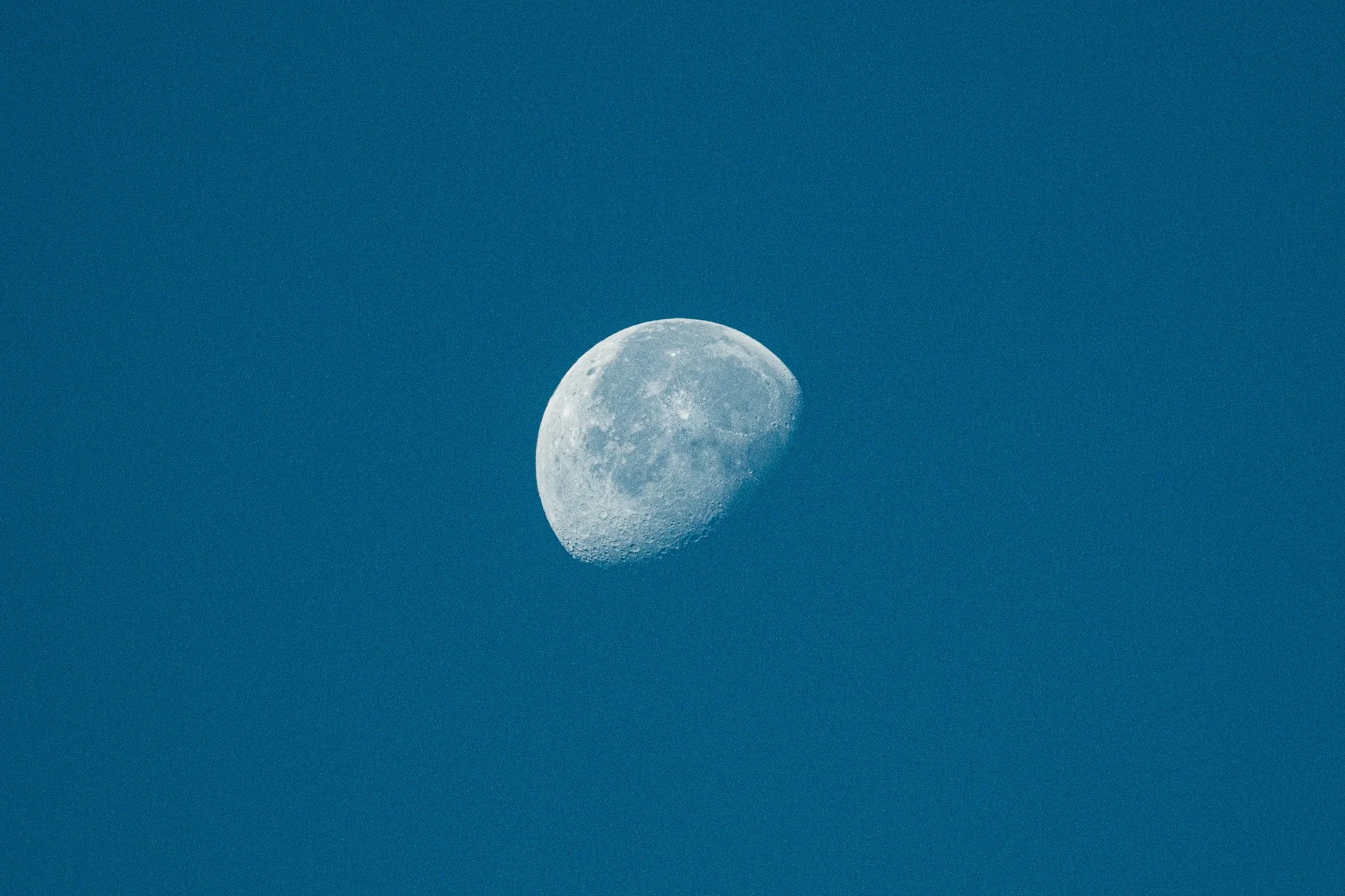 DSCF7648.jpg