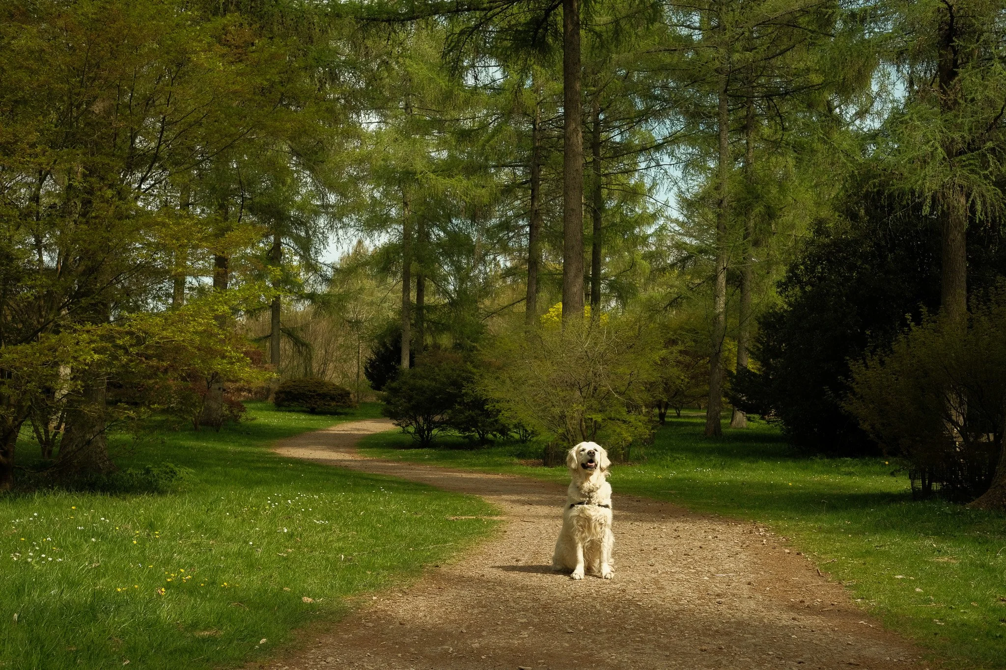 DSCF6915.jpg