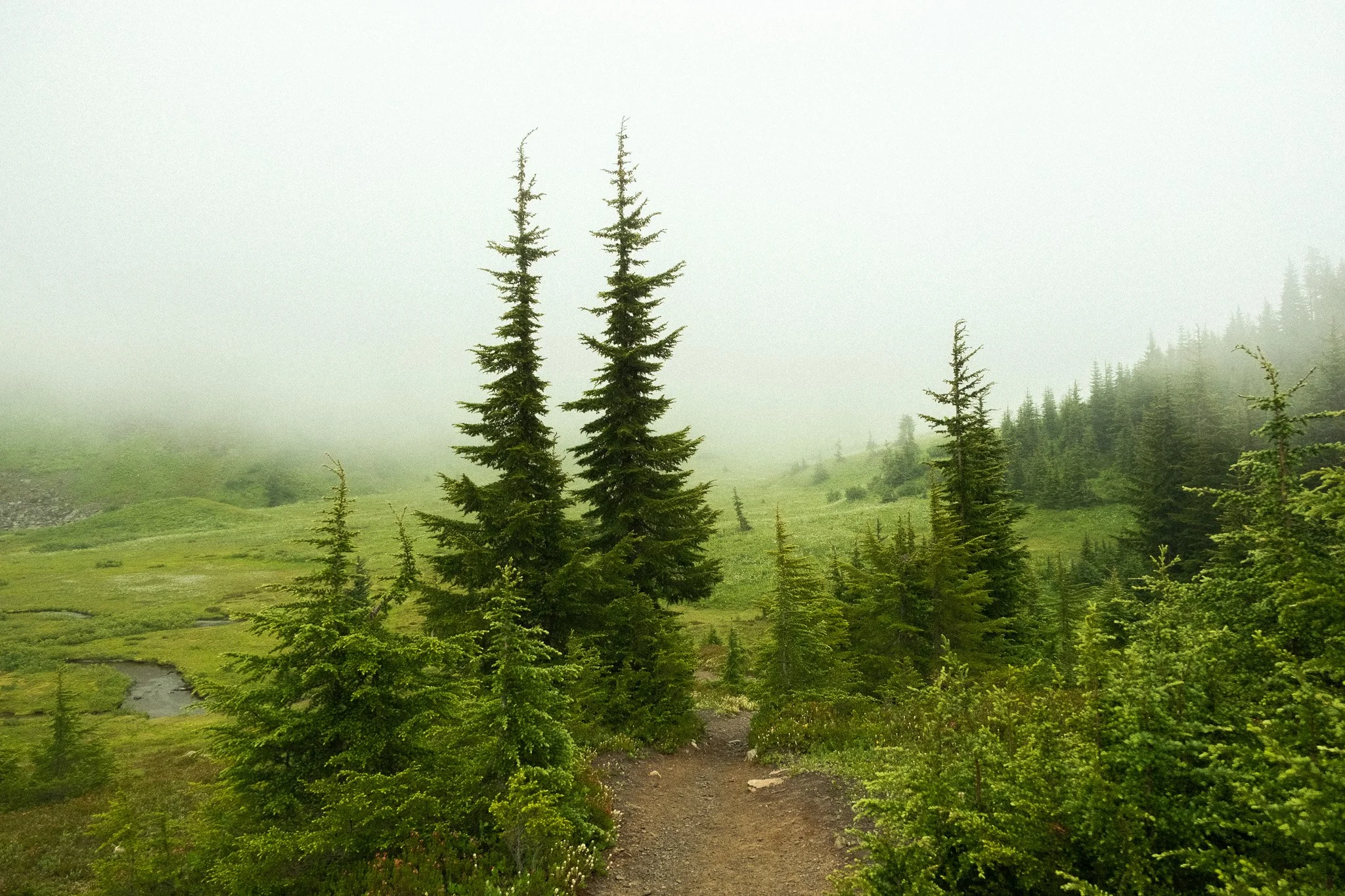 DSCF6963.jpg