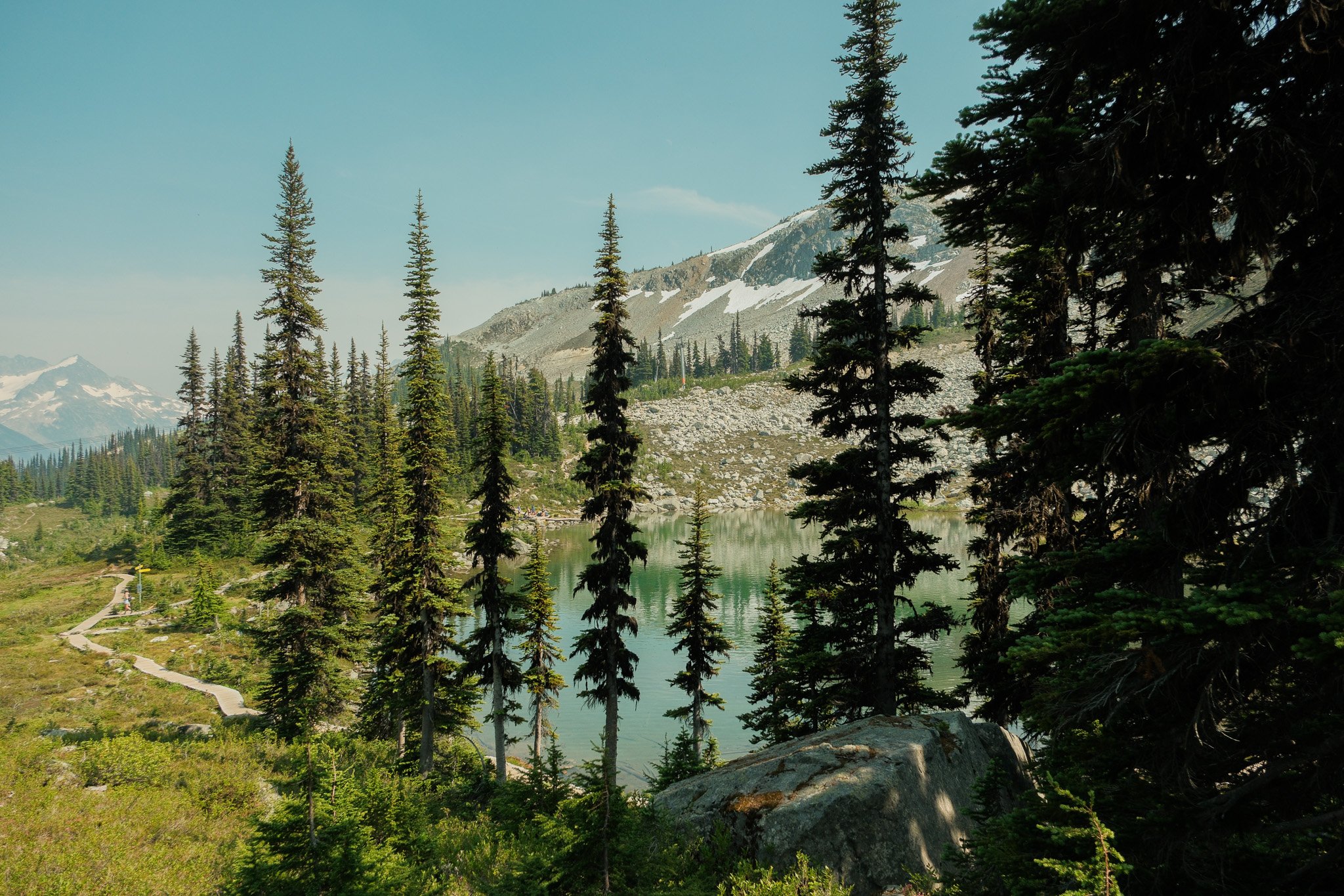 DSCF7226.jpg