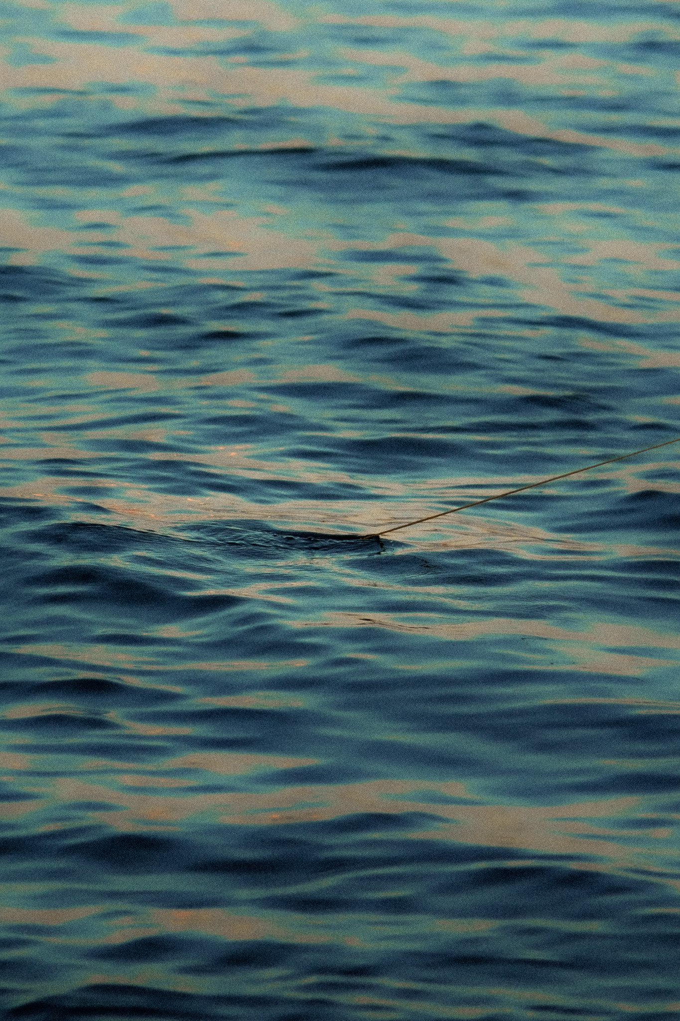 DSCF7856.jpg