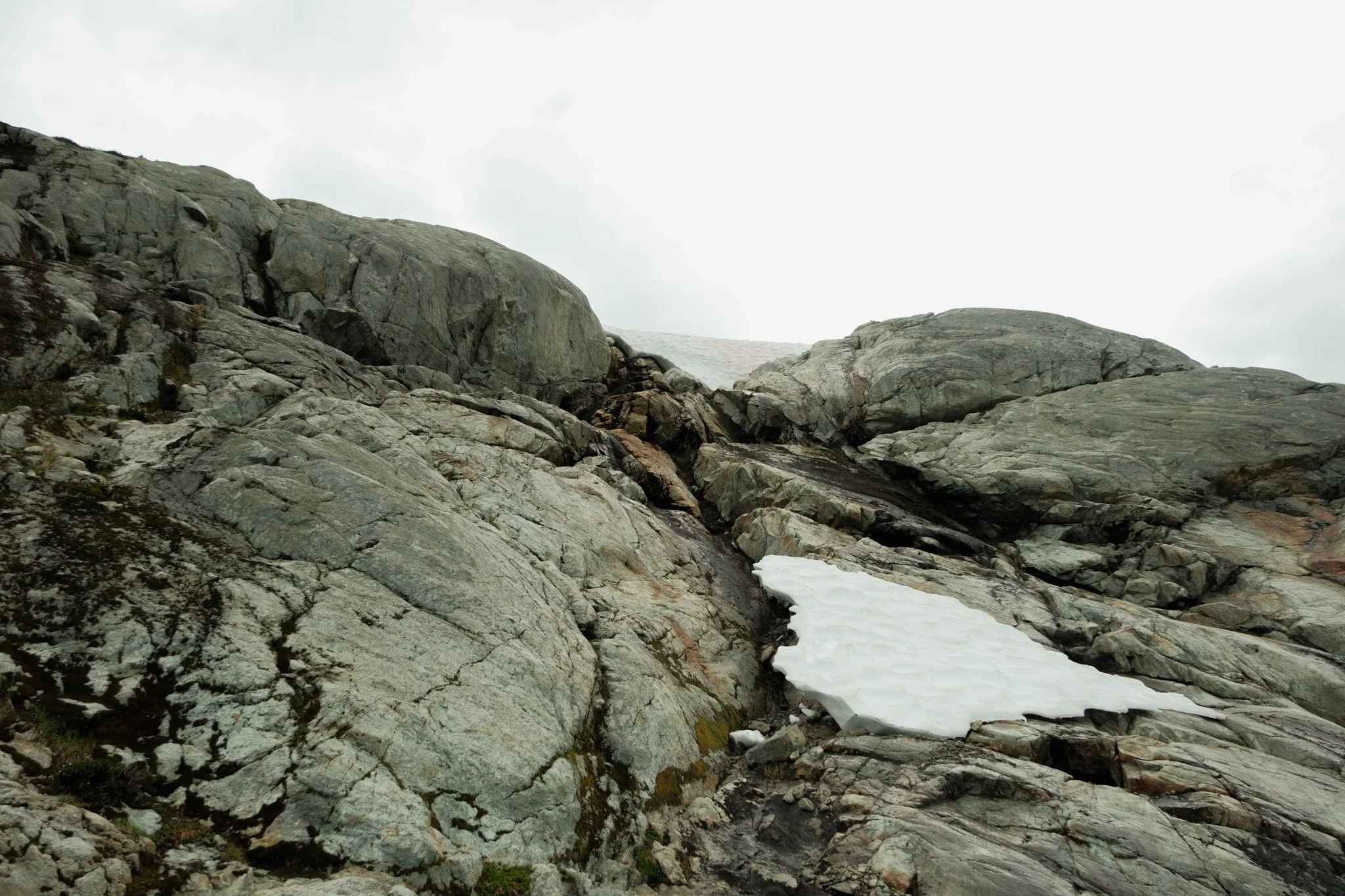DSCF7562.jpg