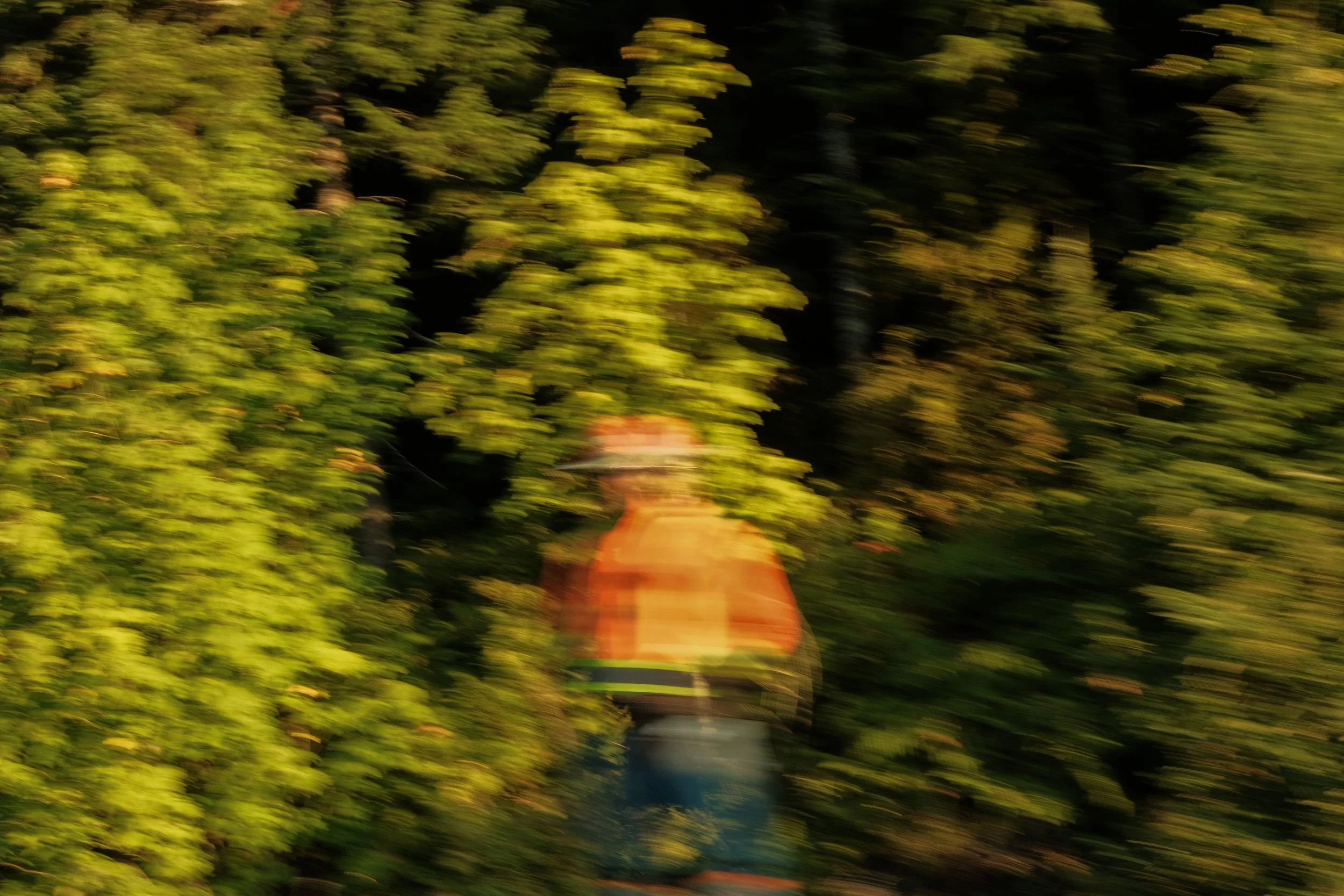 DSCF7952.jpg