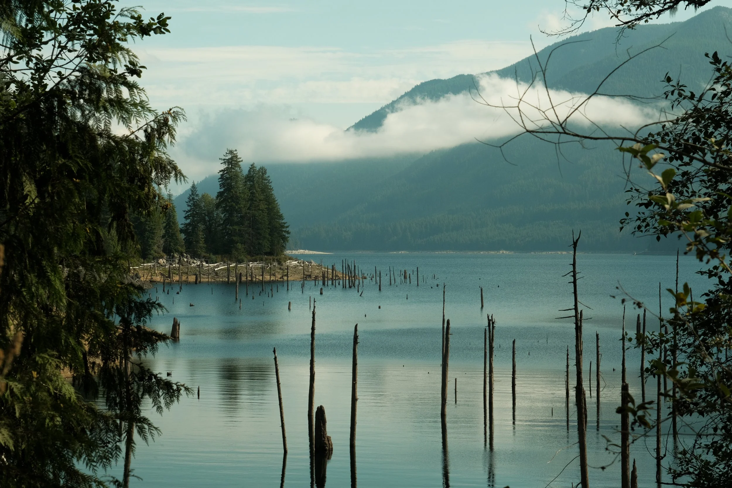 DSCF7857.jpg
