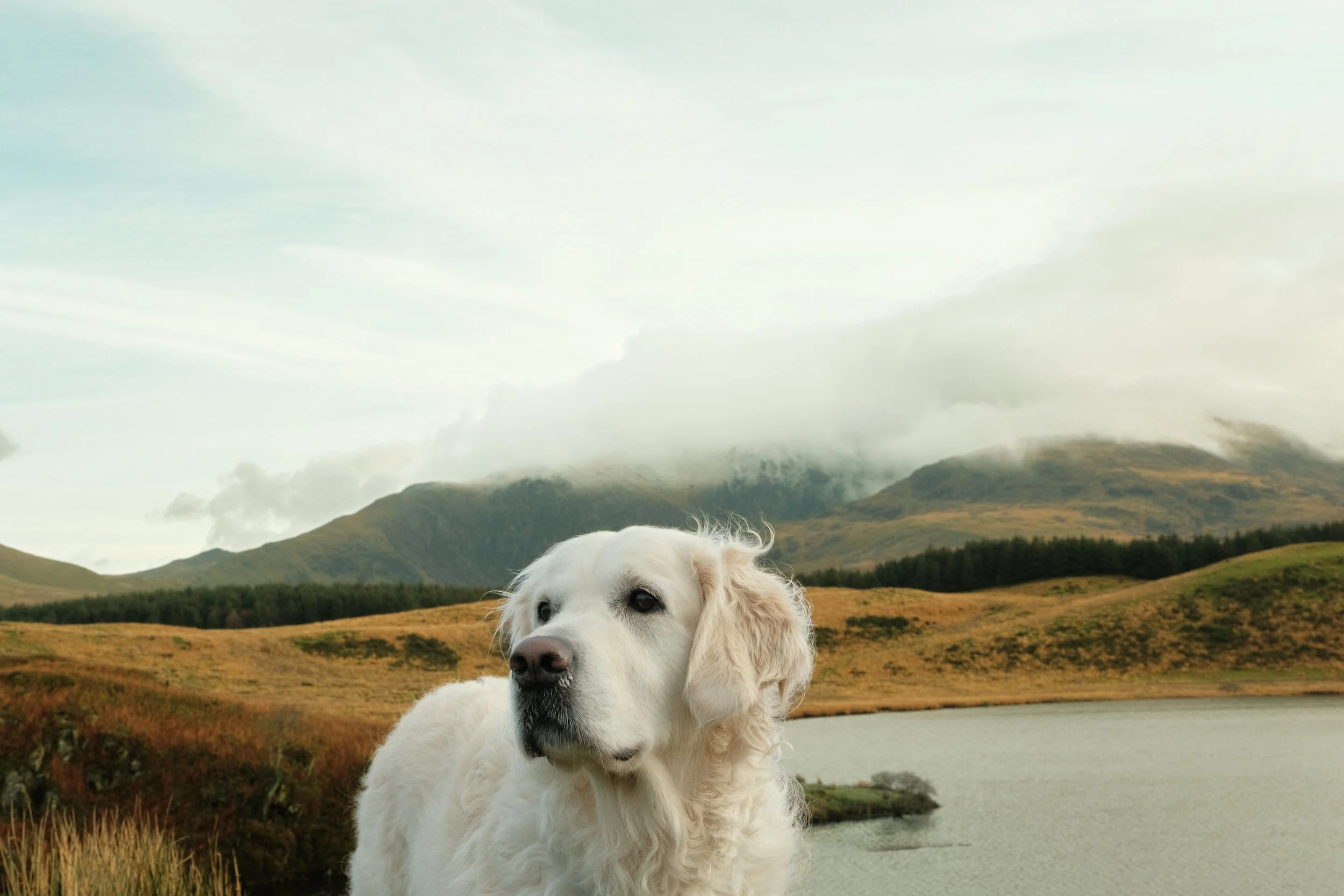 Snowdonia